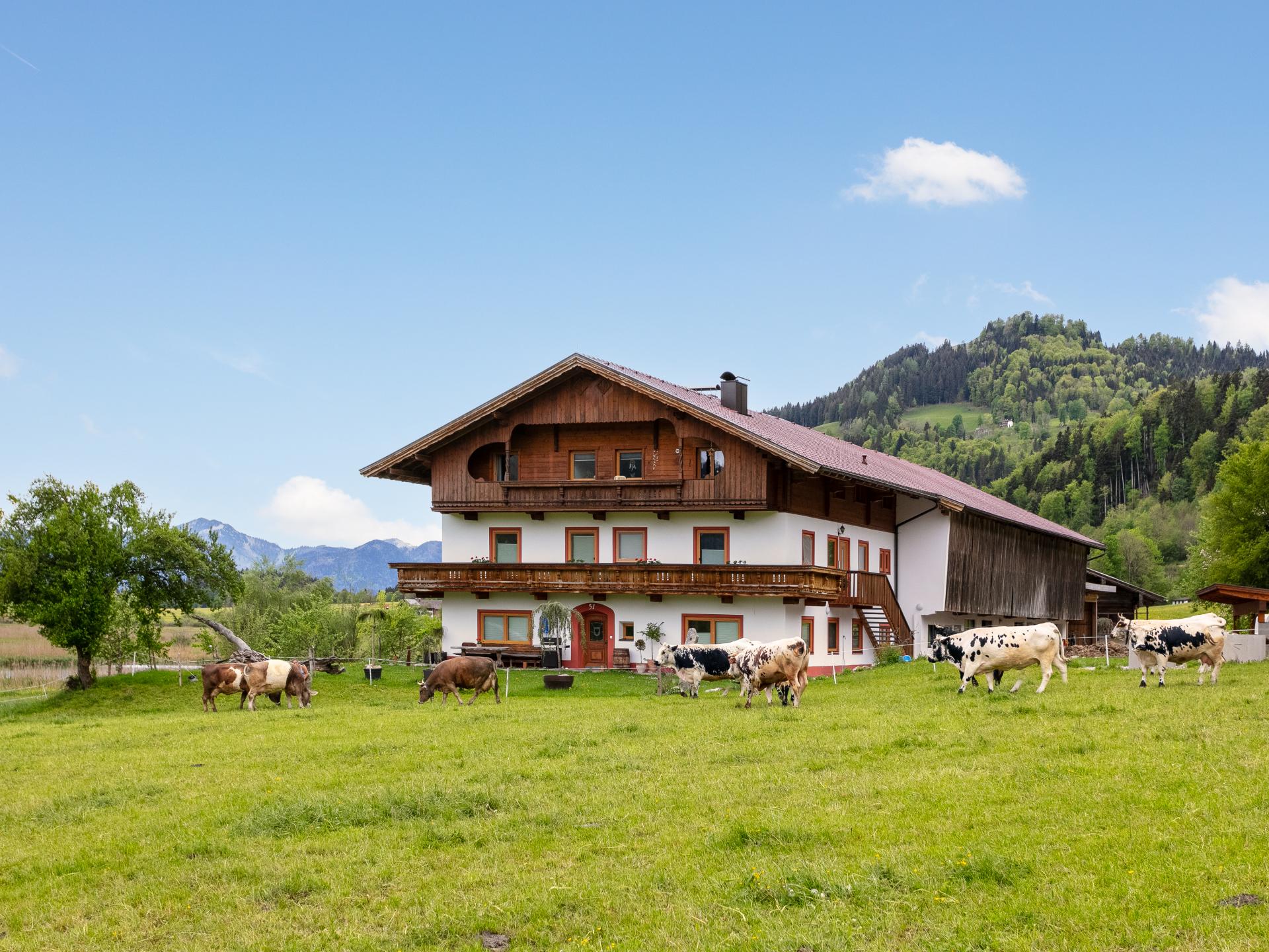Ruim appartement op idyllische boerderij in Walchsee, vlakbij meer en skilift - foto 2