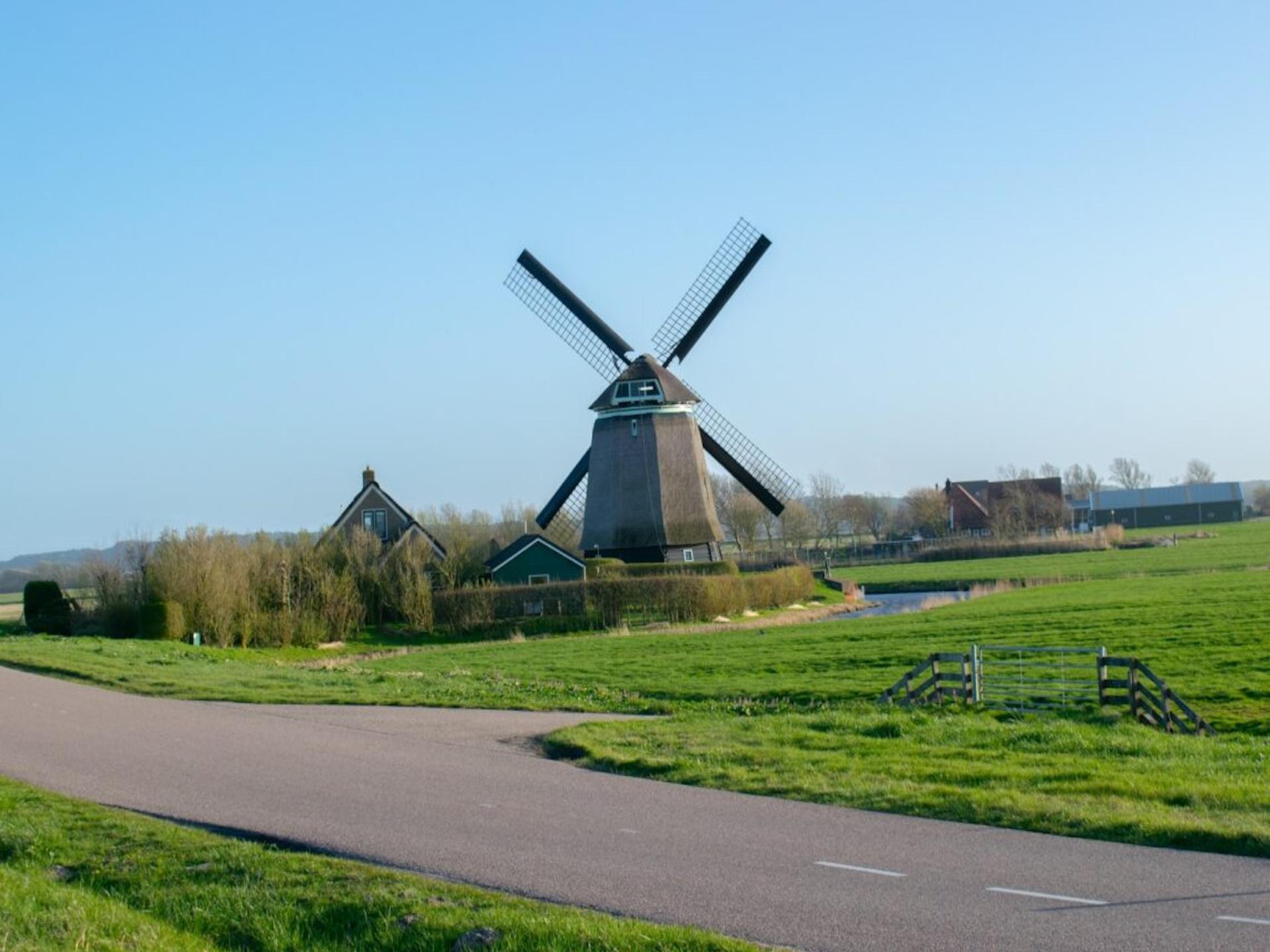 Design strandhuisje met omheinde tuin op autovrij park in Callantsoog - foto 49