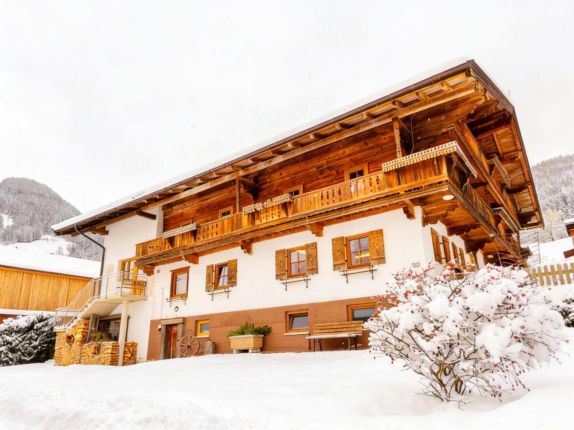 Ruim appartement voor 15 personen op werkende boerderij, vlakbij de skilift - foto 55