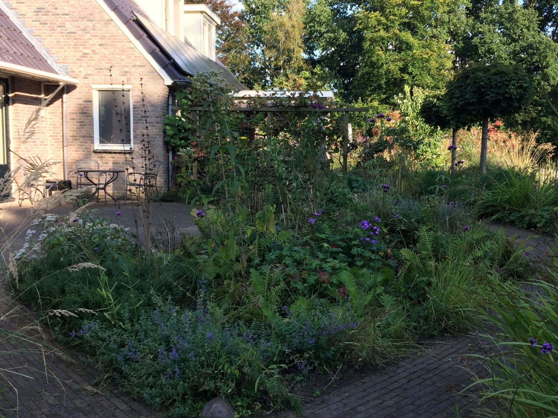 Vrijzicht: knus appartement met tuin op het Drentse platteland - foto 18