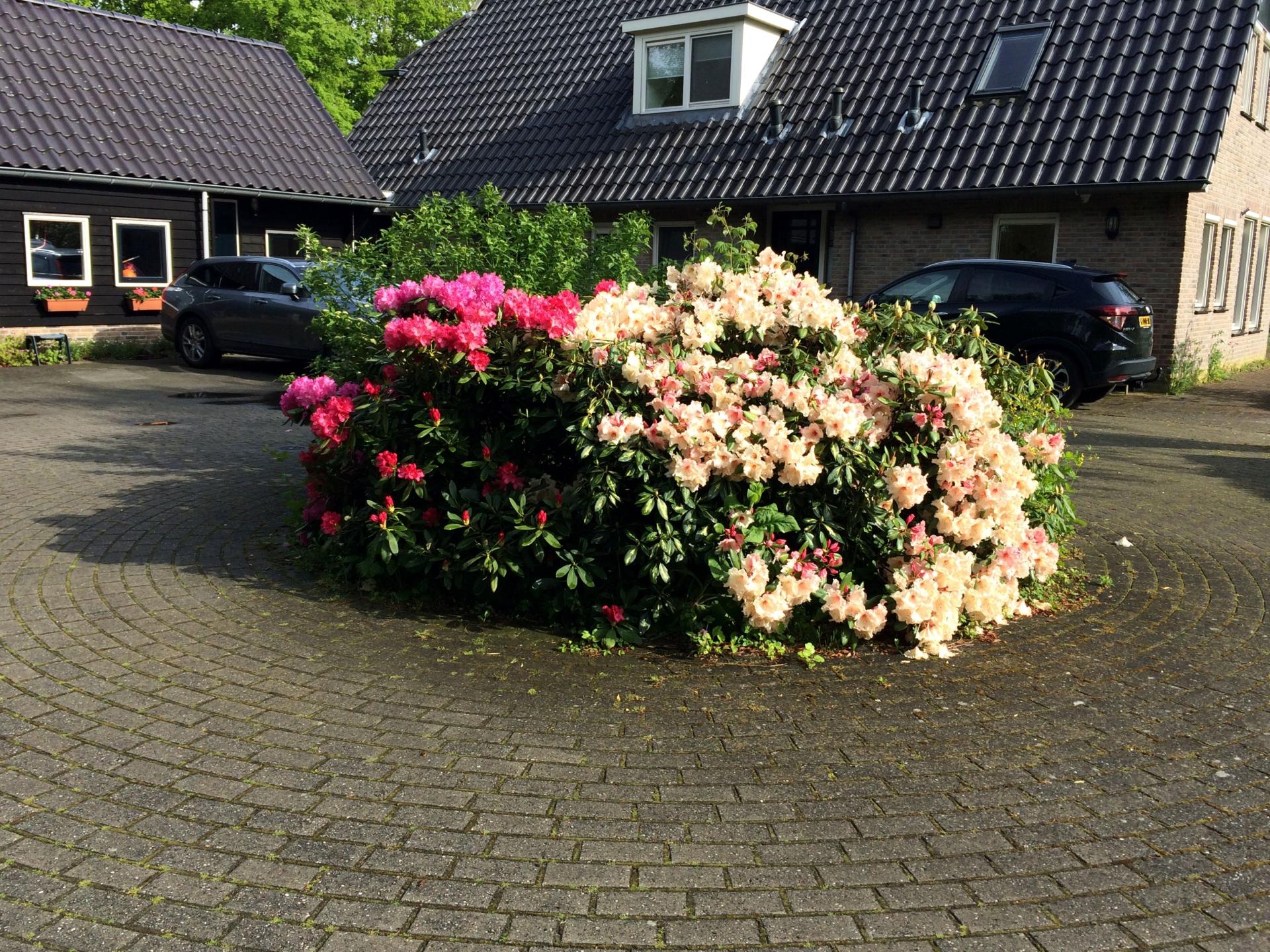 Vrijzicht: knus appartement met tuin op het Drentse platteland - foto 16