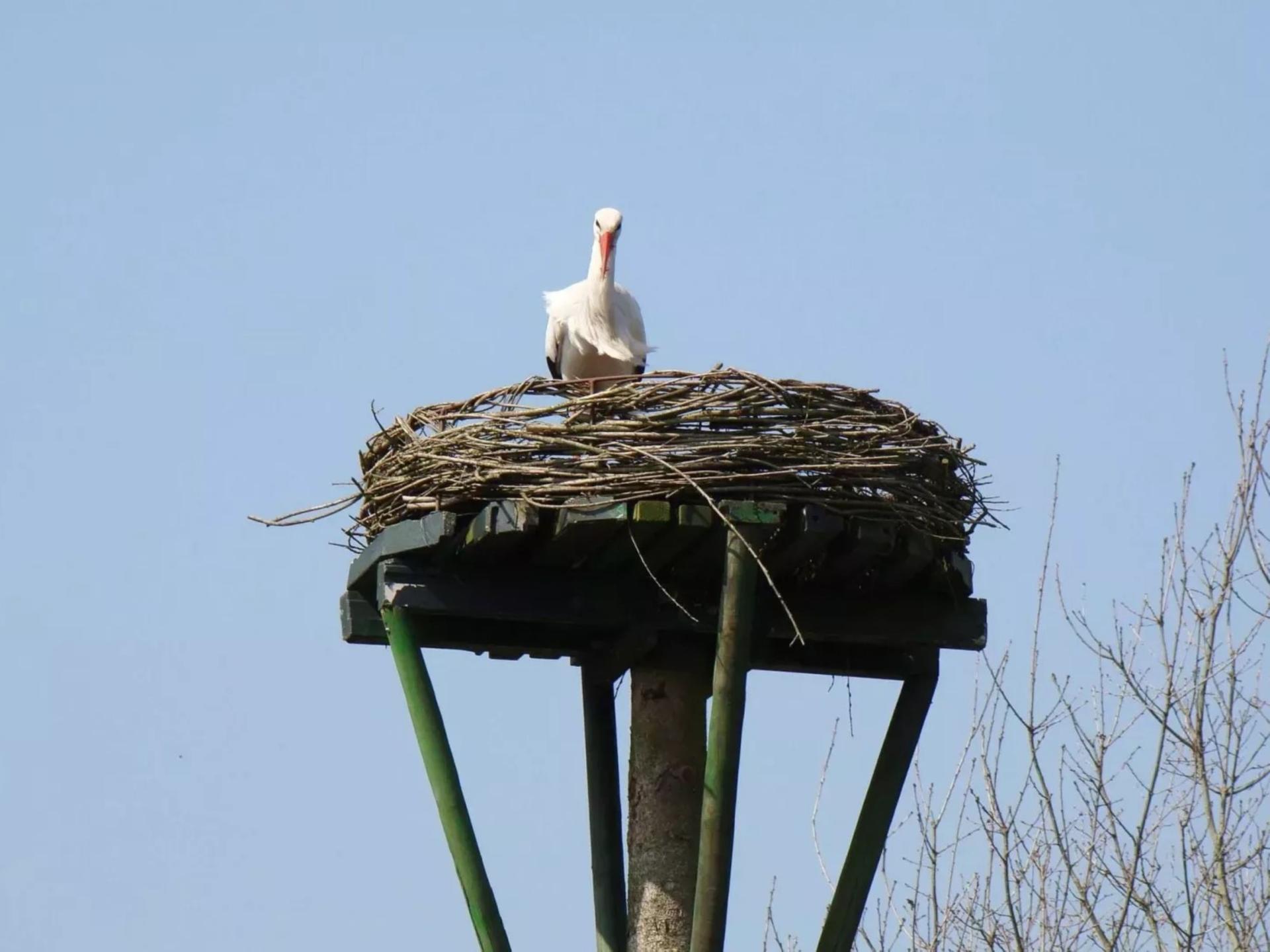 Vrijzicht: knus appartement met tuin op het Drentse platteland - foto 20