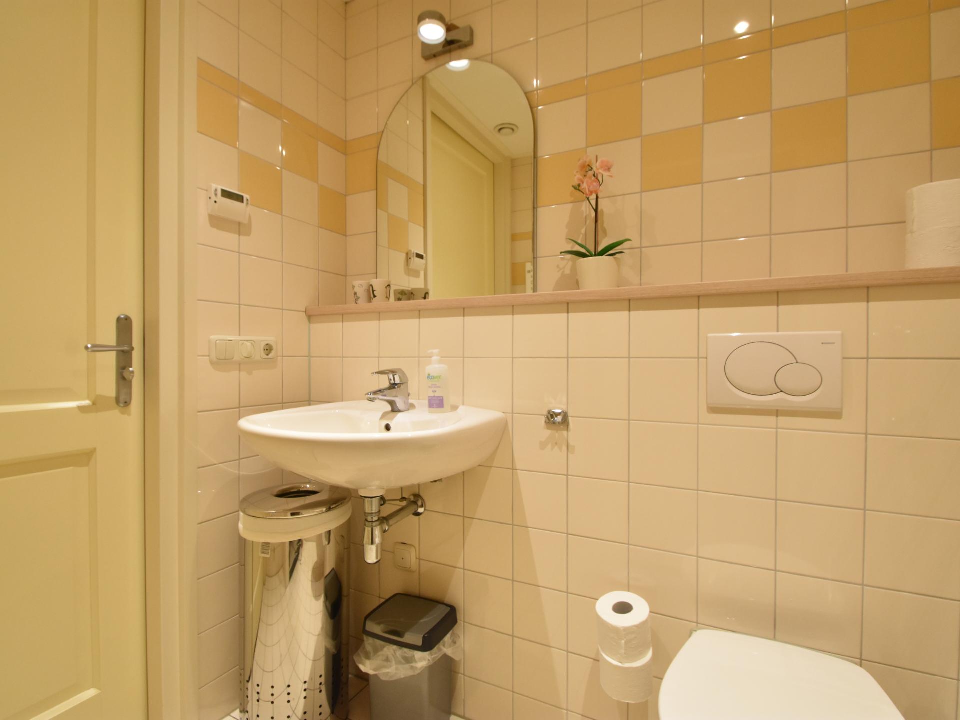 Vrijzicht: knus appartement met tuin op het Drentse platteland - foto 12