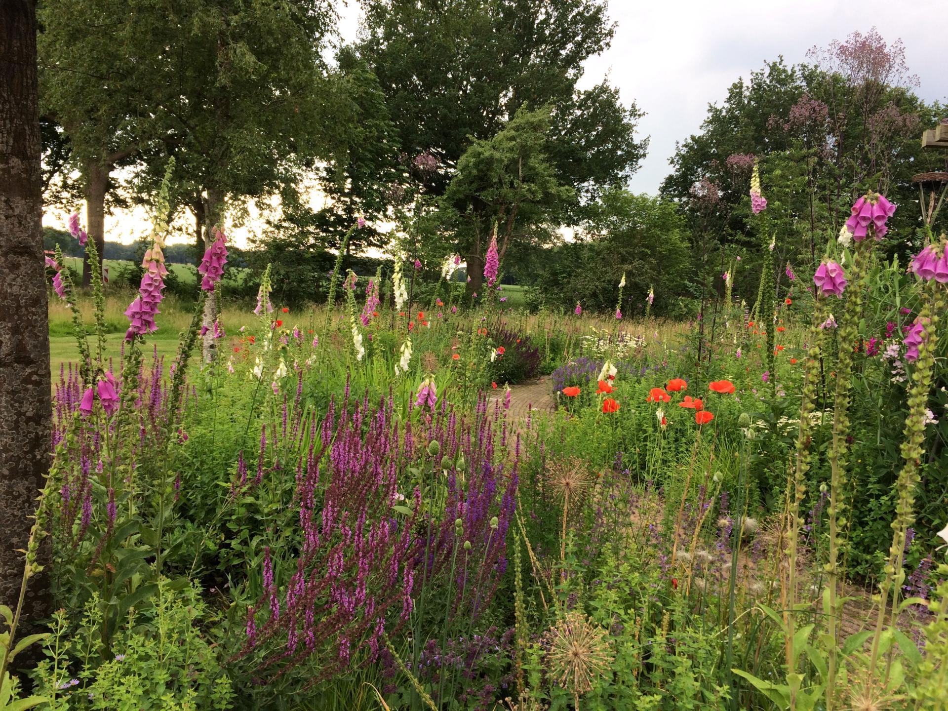 Vrijzicht: knus appartement met tuin op het Drentse platteland - foto 21