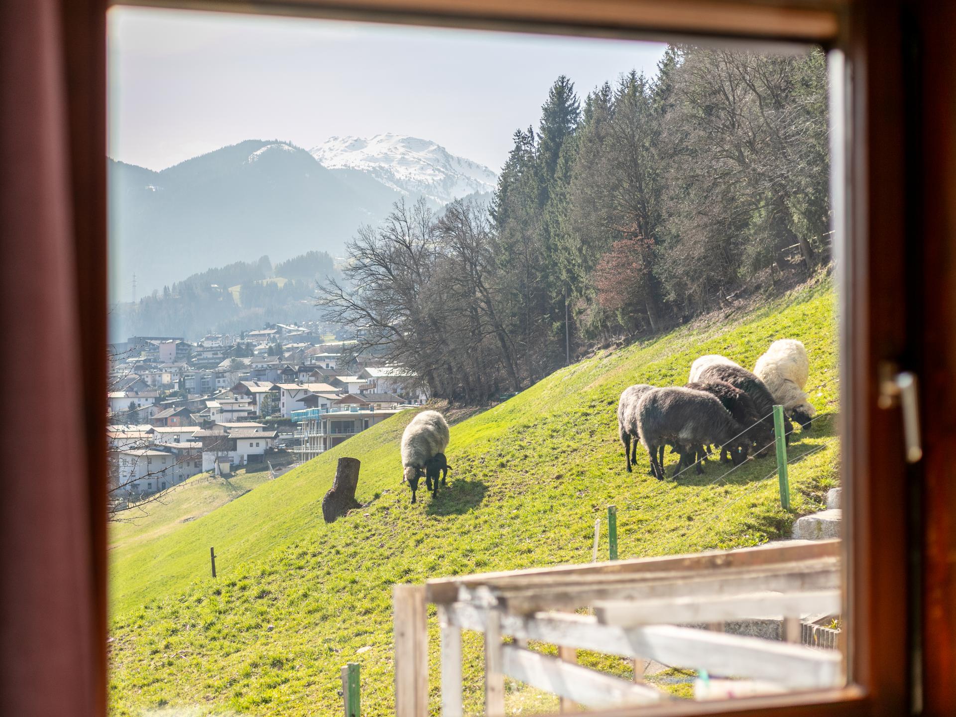 Vrijstaand vakantiehuis in Fügen met 4 slaapkamers op 300m van de skilift - foto 19