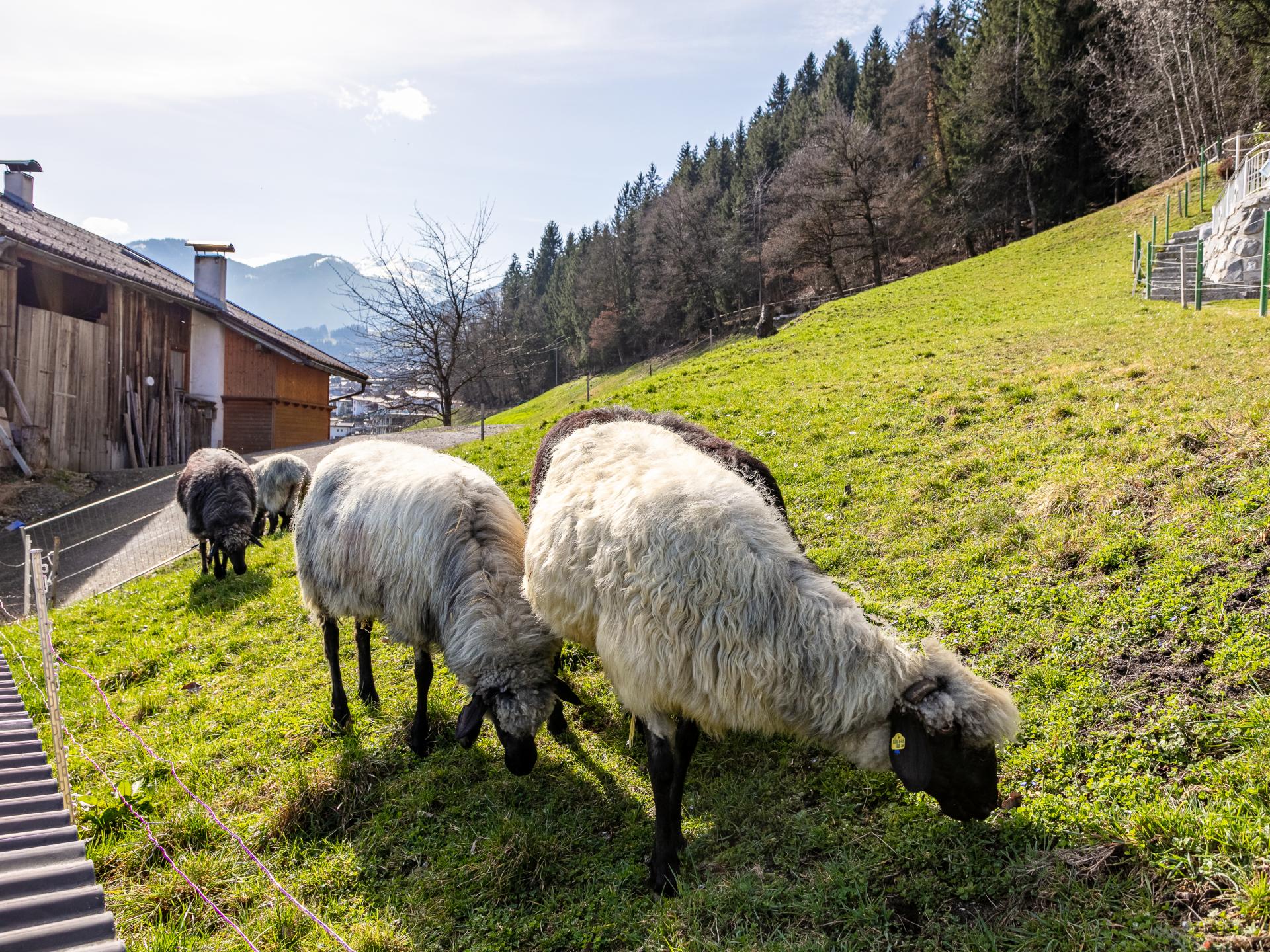 Vrijstaand vakantiehuis in Fügen met 4 slaapkamers op 300m van de skilift - foto 27