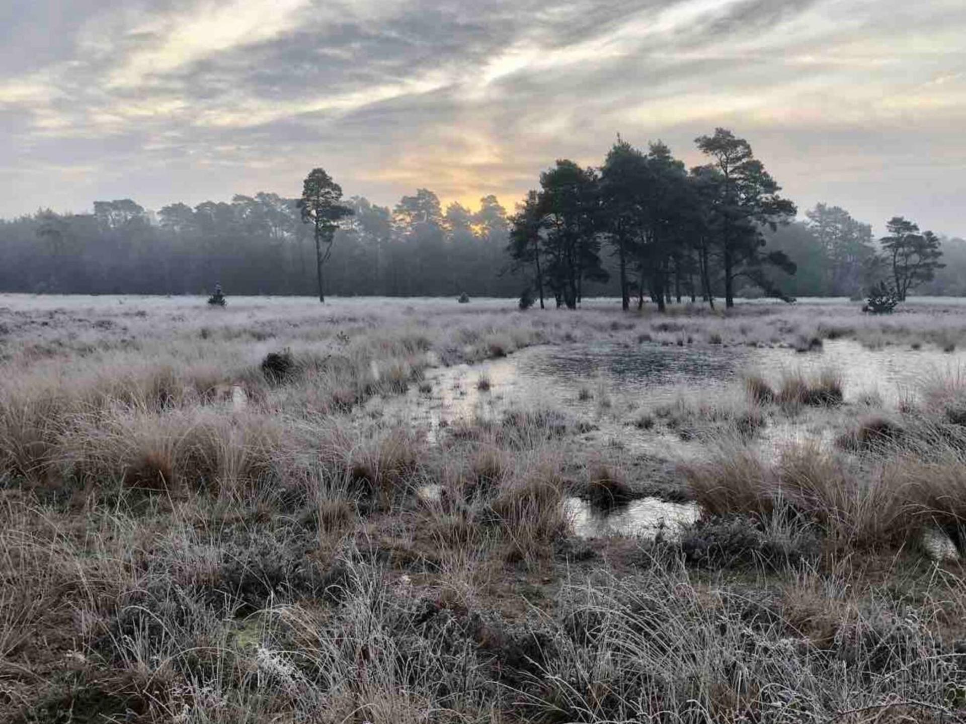 Knus houten vakantiehuis aan bosrand in Soesterberg voor 6 personen - foto 26