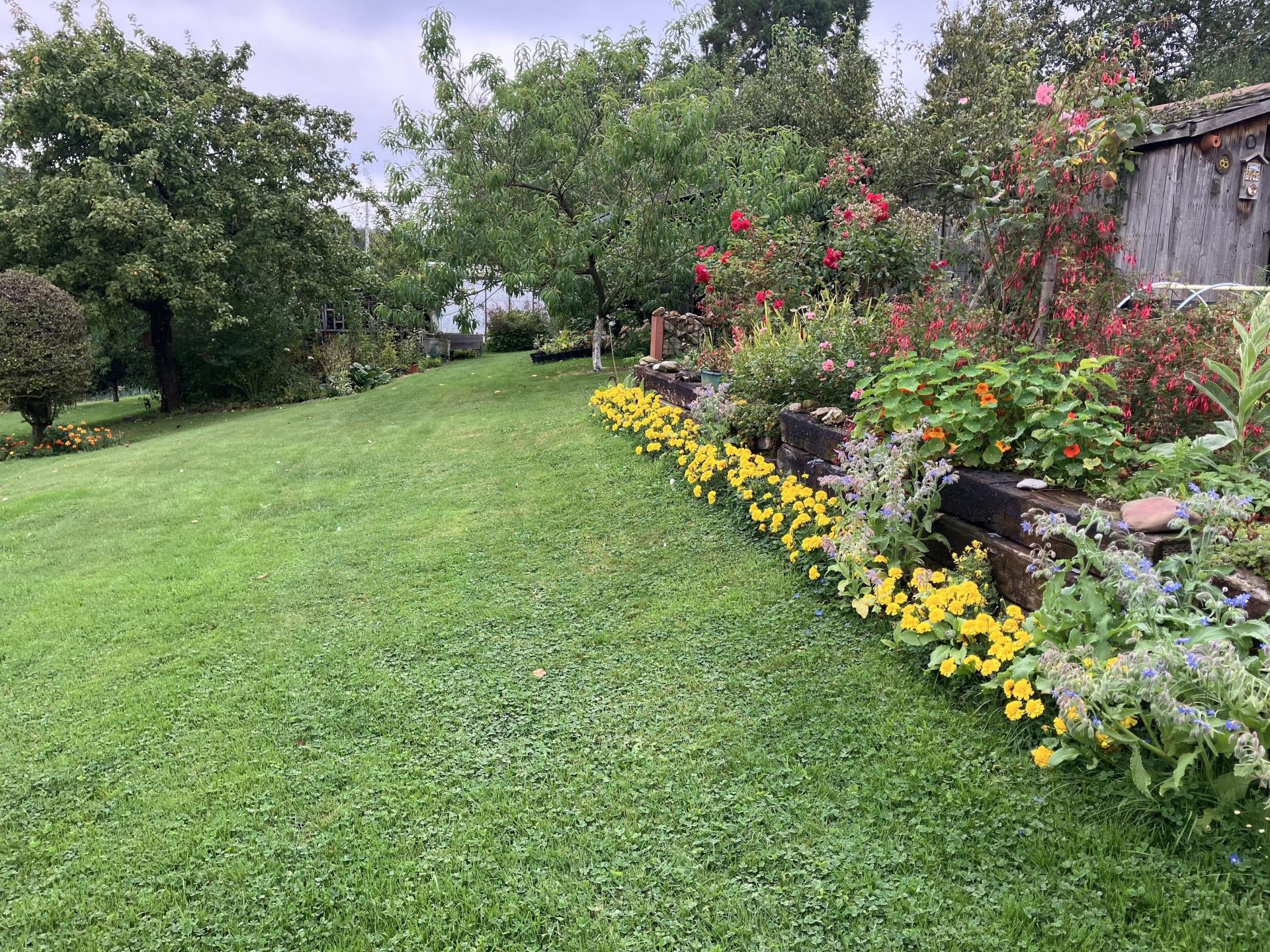 Knus vakantiehuis met houtkachel en grote tuin aan de bosrand bij Trois-Ponts - foto 44