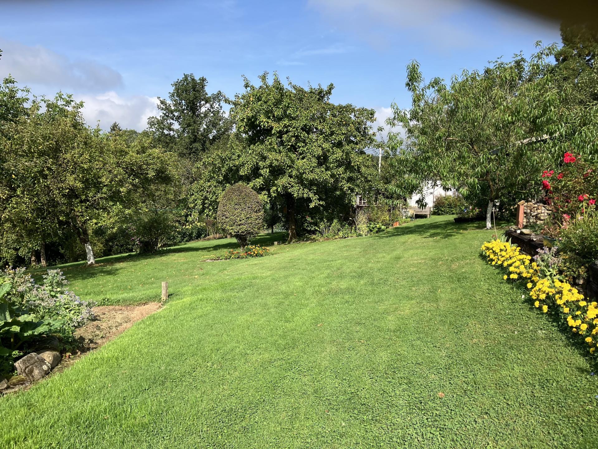 Knus vakantiehuis met houtkachel en grote tuin aan de bosrand bij Trois-Ponts - foto 45