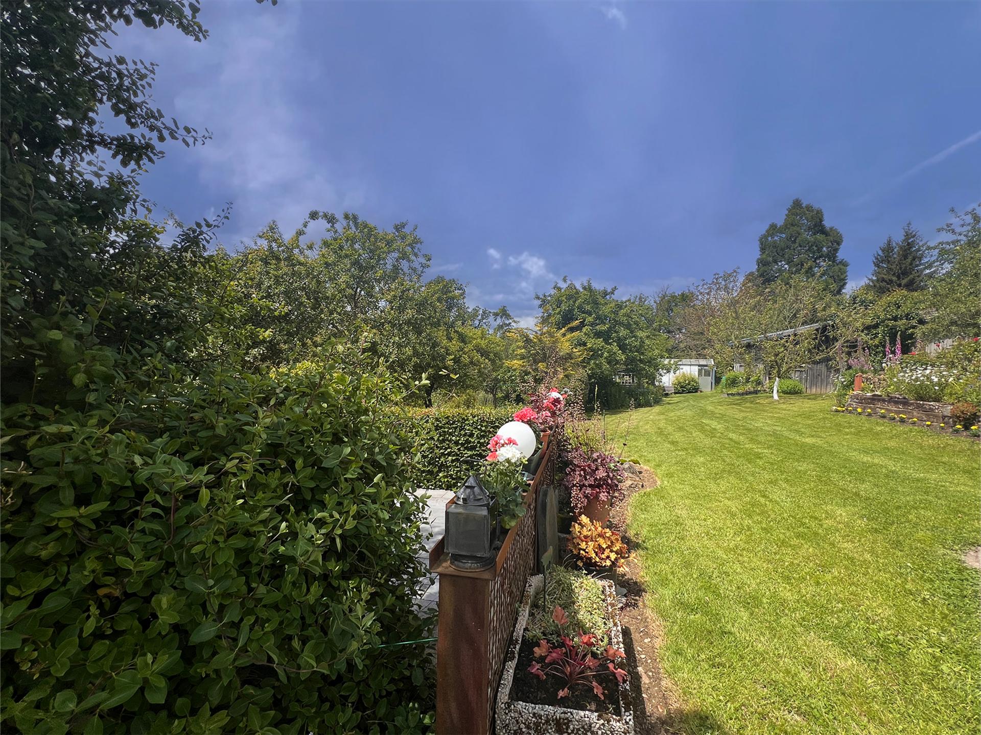 Knus vakantiehuis met houtkachel en grote tuin aan de bosrand bij Trois-Ponts - foto 34