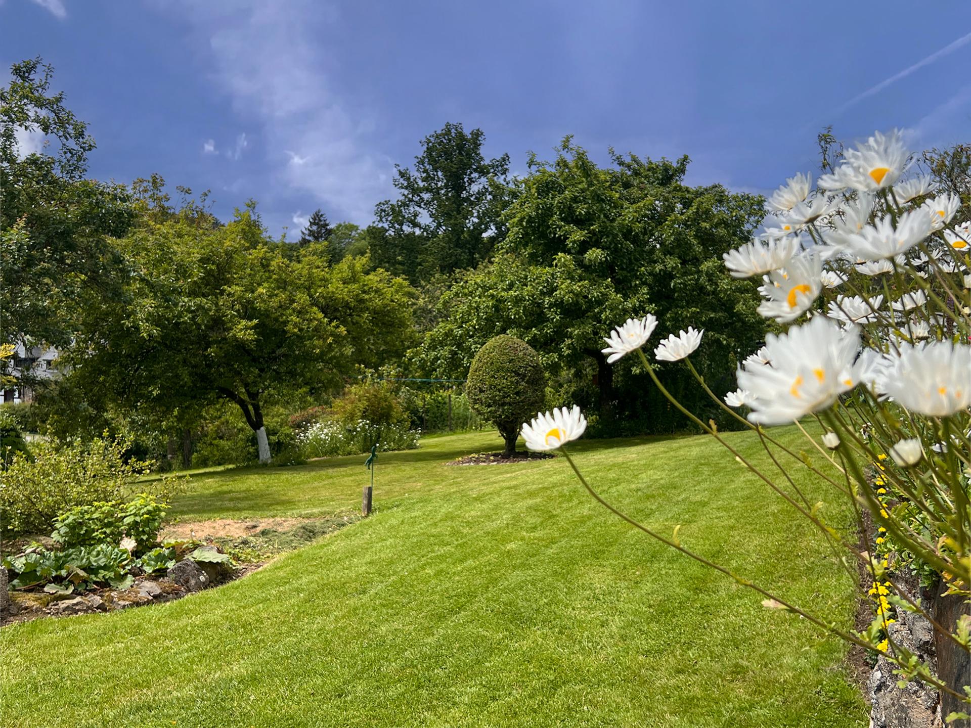 Knus vakantiehuis met houtkachel en grote tuin aan de bosrand bij Trois-Ponts - foto 11