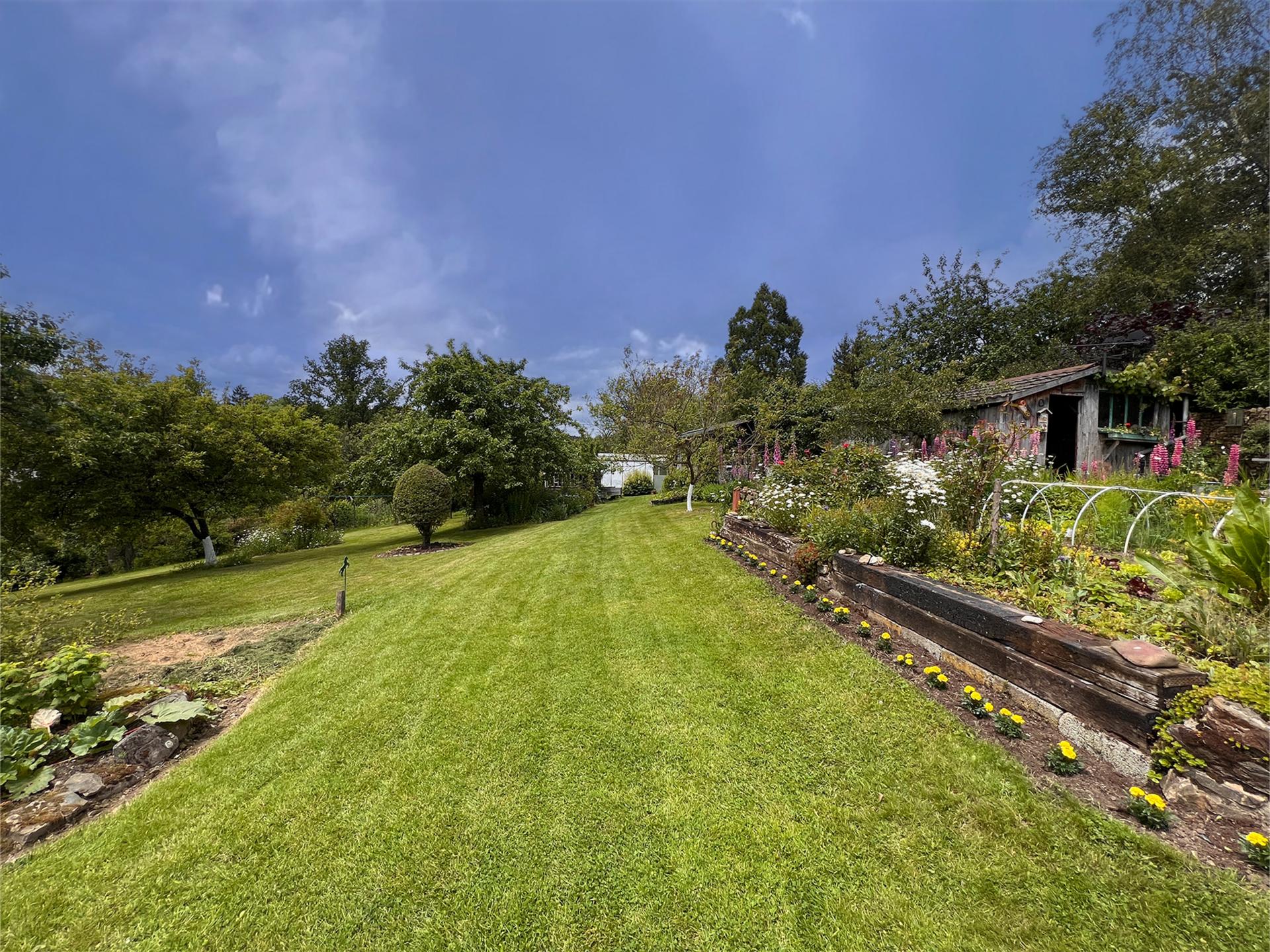 Knus vakantiehuis met houtkachel en grote tuin aan de bosrand bij Trois-Ponts - foto 40
