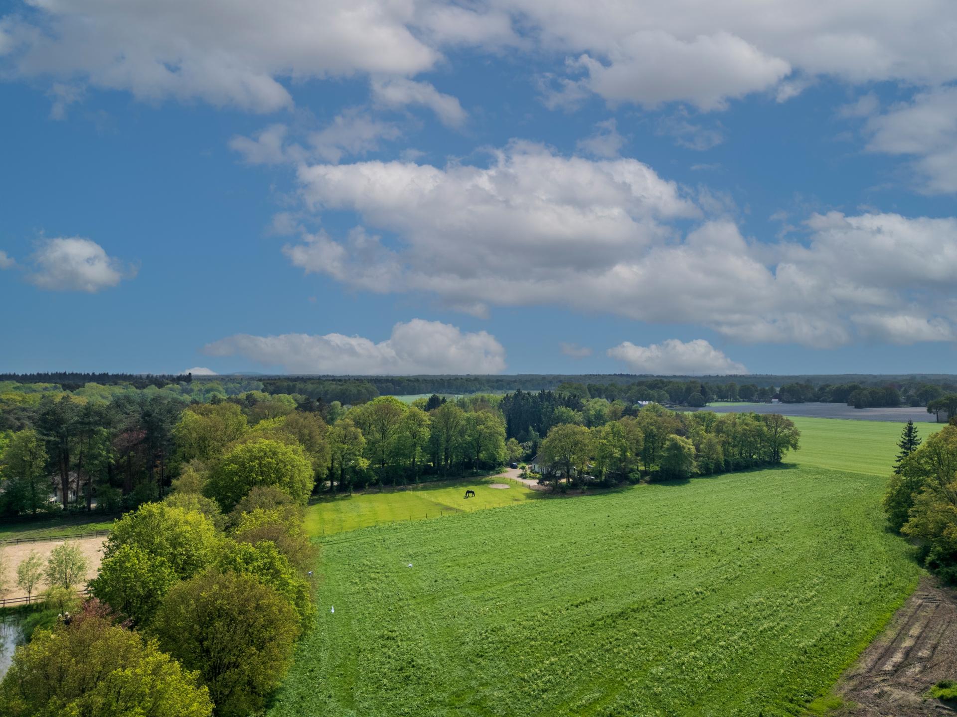 Landelijk vakantiehuis in Knegsel met uitzicht op bos en weilanden - foto 14