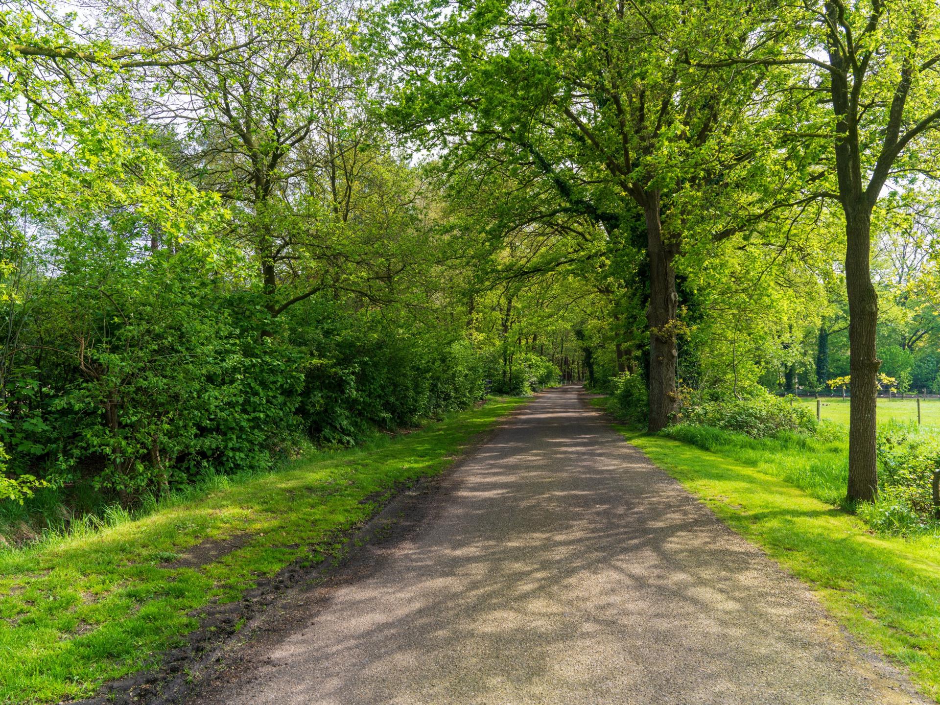 Landelijk vakantiehuis in Knegsel met uitzicht op bos en weilanden - foto 47