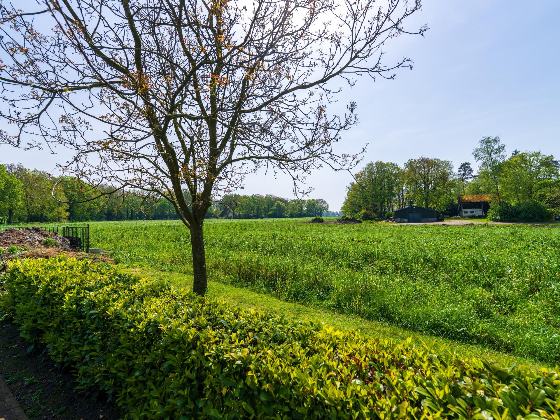 Landelijk vakantiehuis in Knegsel met uitzicht op bos en weilanden - foto 42