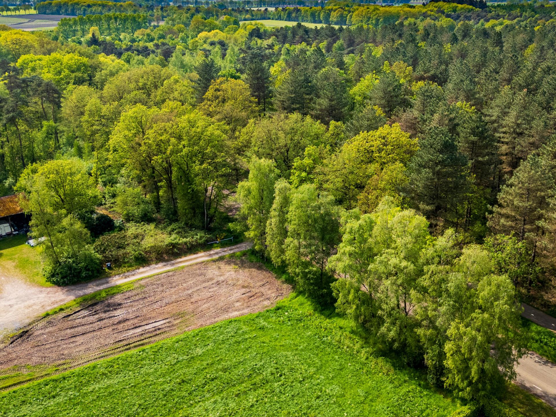 Landelijk vakantiehuis in Knegsel met uitzicht op bos en weilanden - foto 44