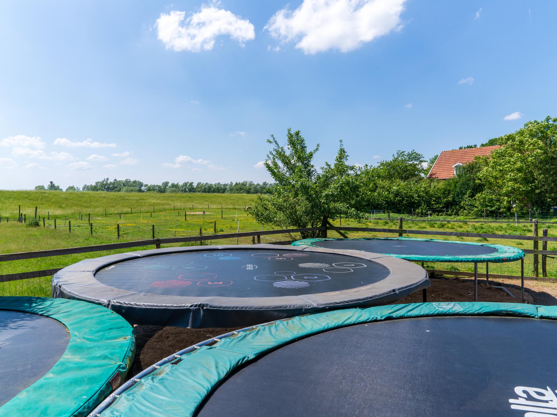 Groepswoning 't Grootenhuis: sauna, zwemspa en speelparadijs in Olst - foto 52