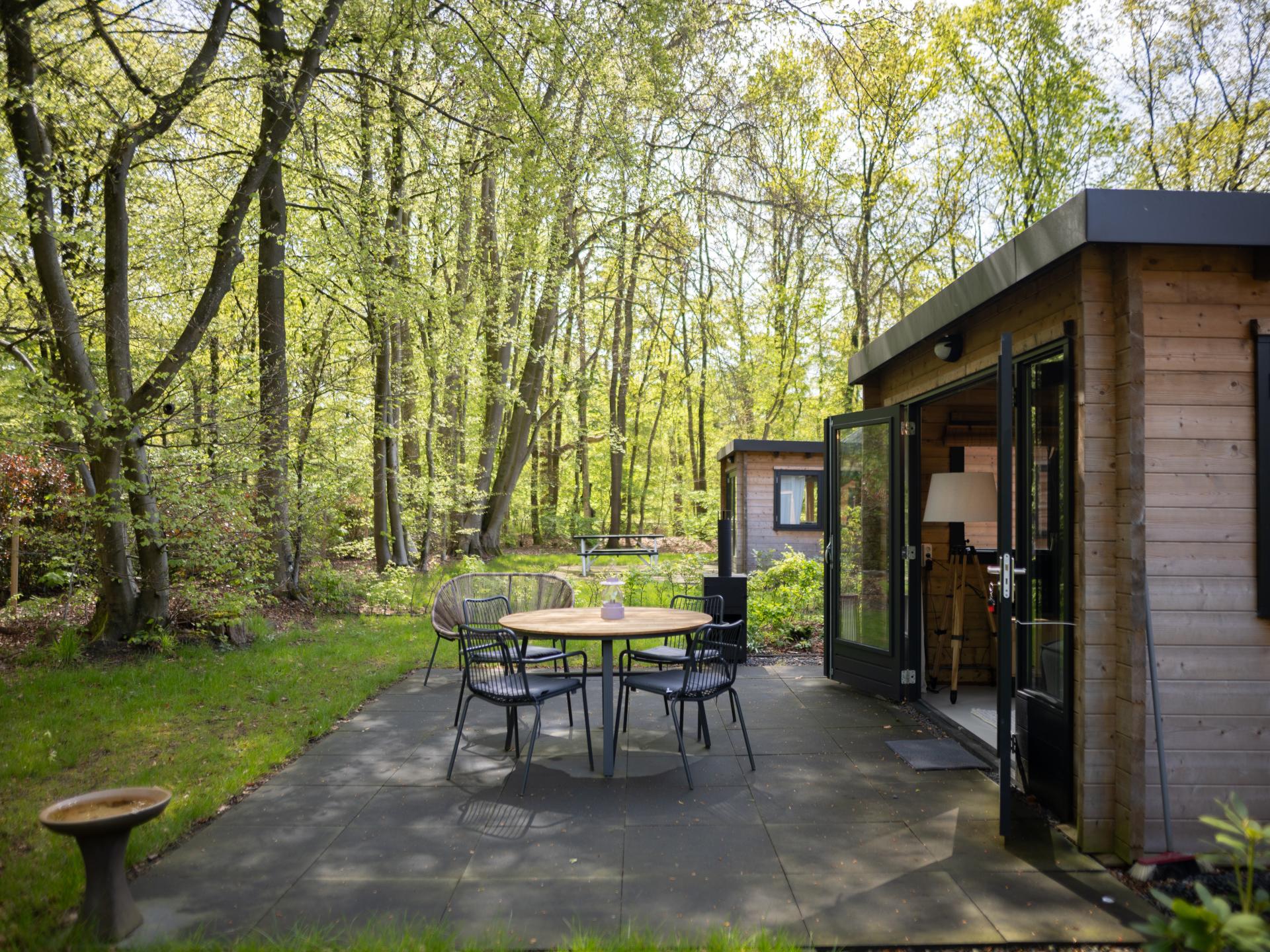 Elegant houten vakantiehuis aan de bosrand in Soesterberg - foto 35
