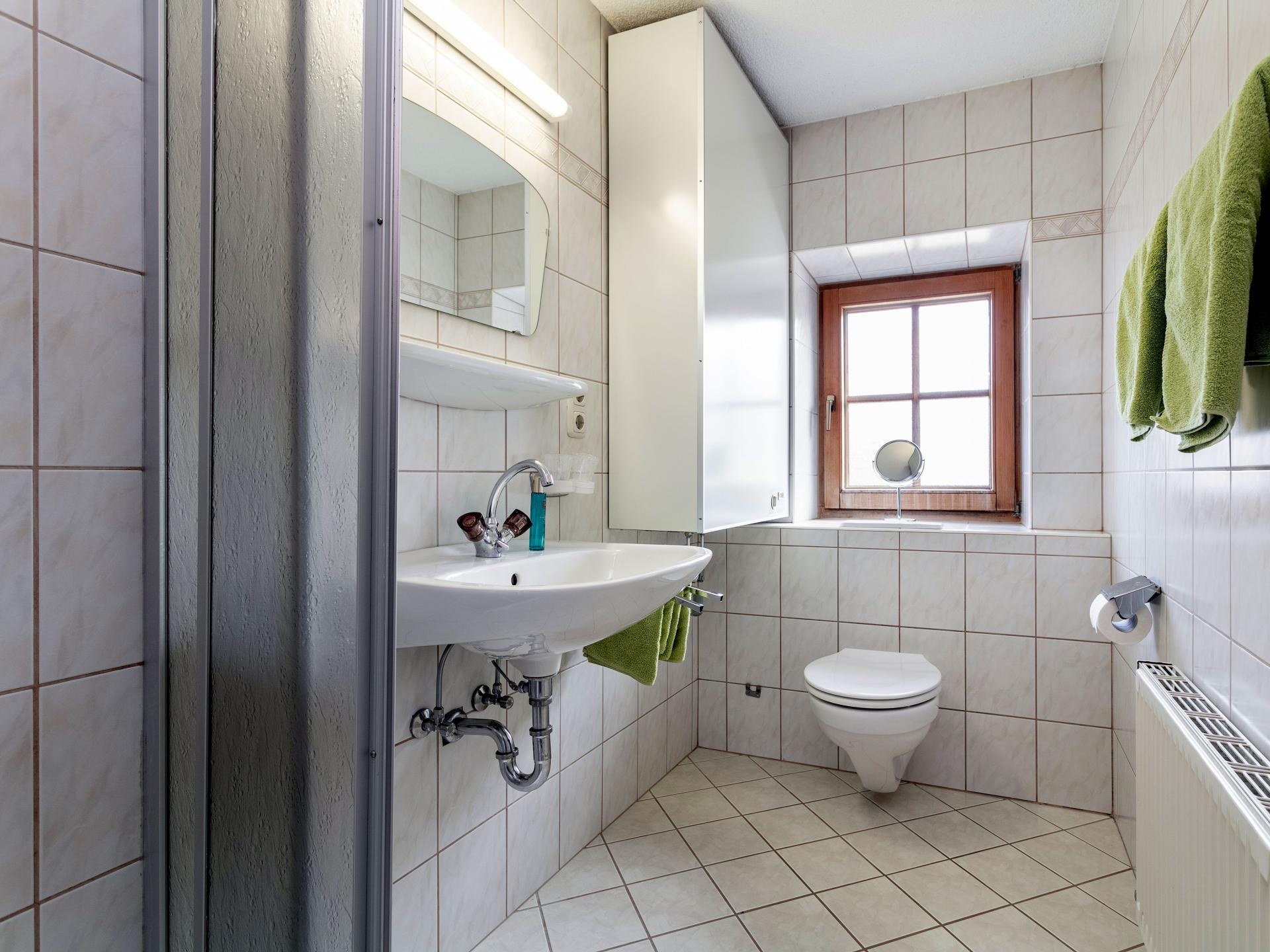 4-persoons appartement aan de piste in Reith im Alpbachtal - foto 14