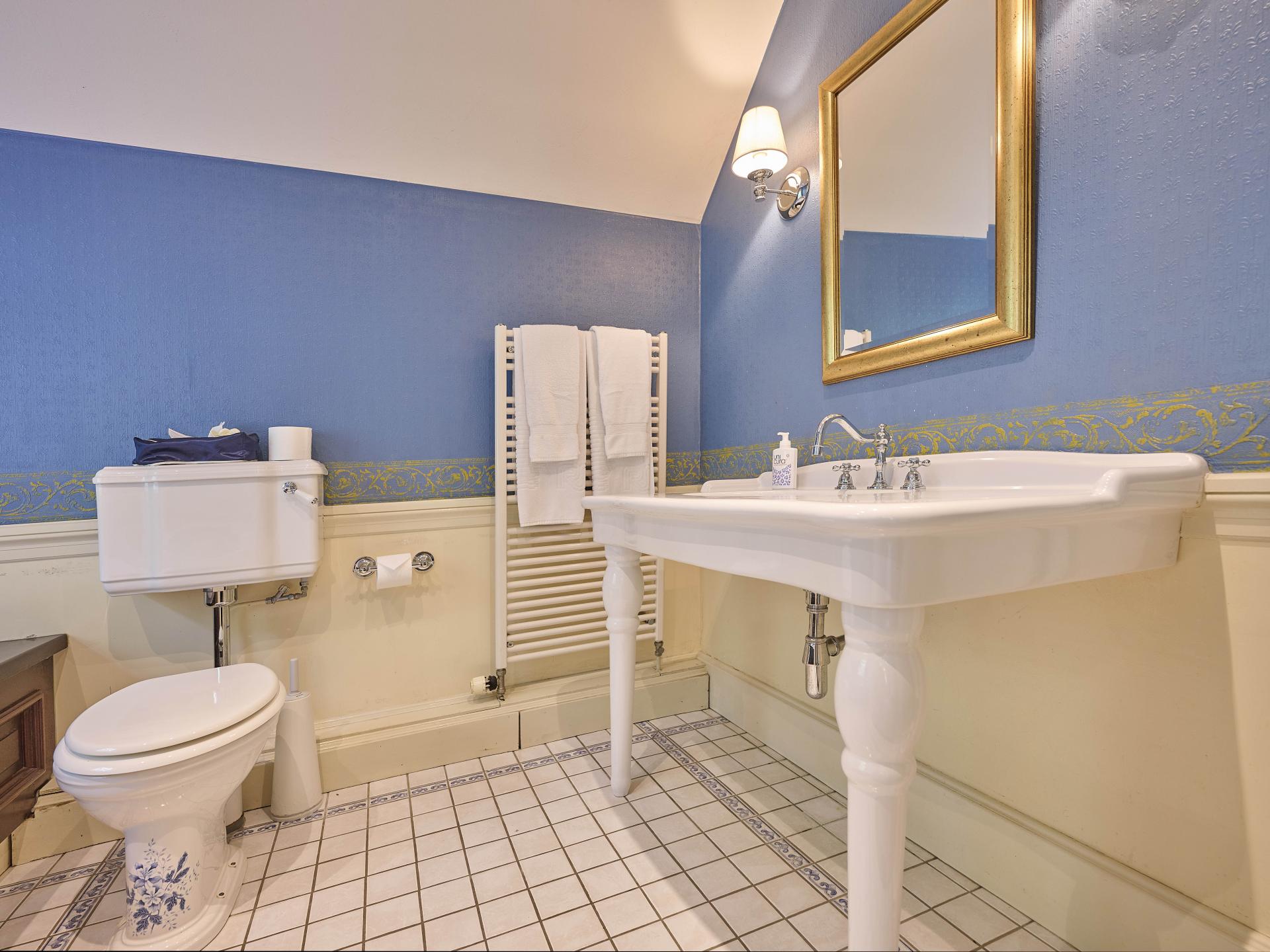 Klassiek landhuis Erve Het Klaashuis: luxe met 4 en suite badkamers op landgoed - foto 55
