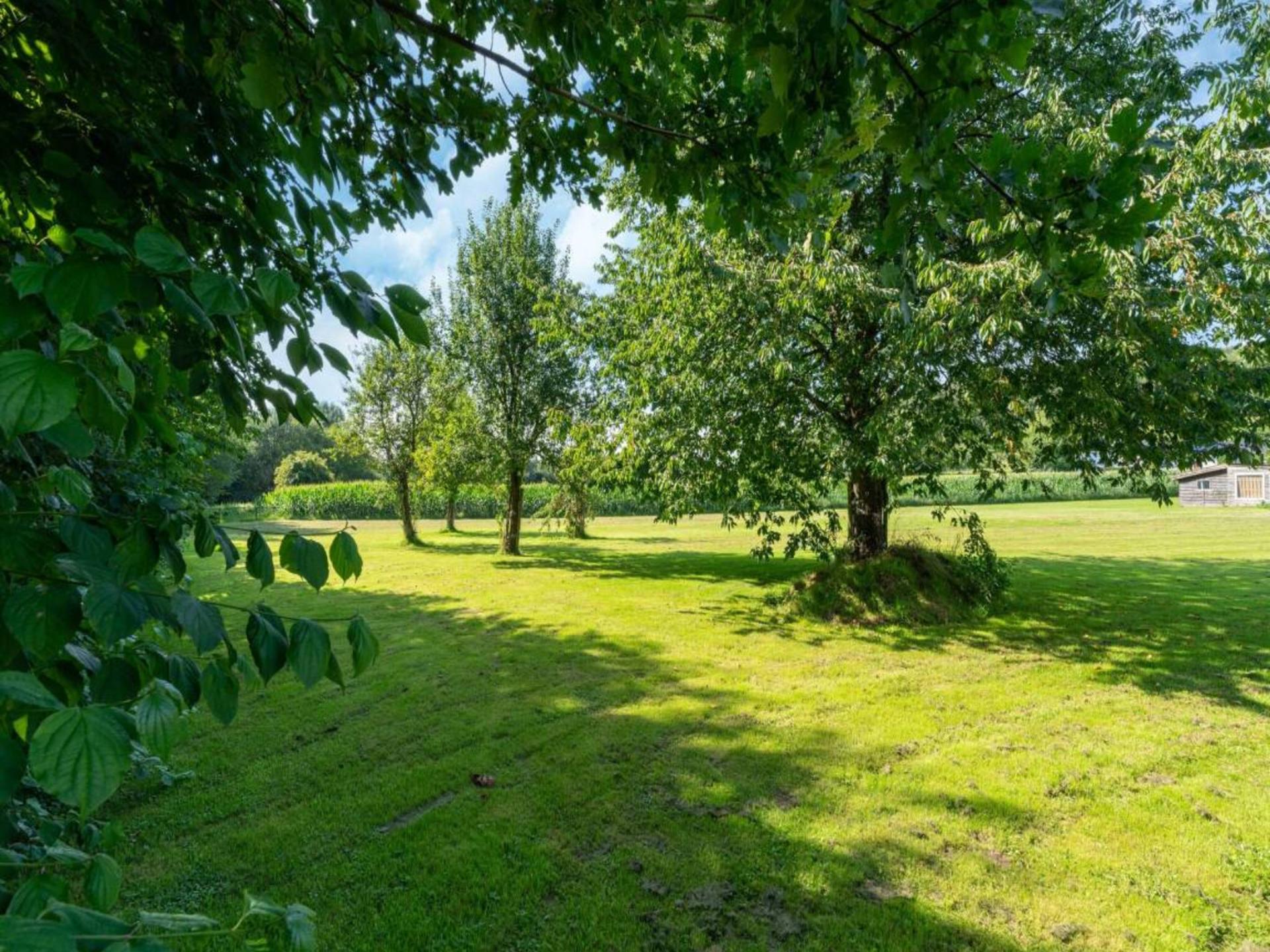 Sfeervol Finse woning met panoramisch uitzicht in Limburgse natuur - foto 41