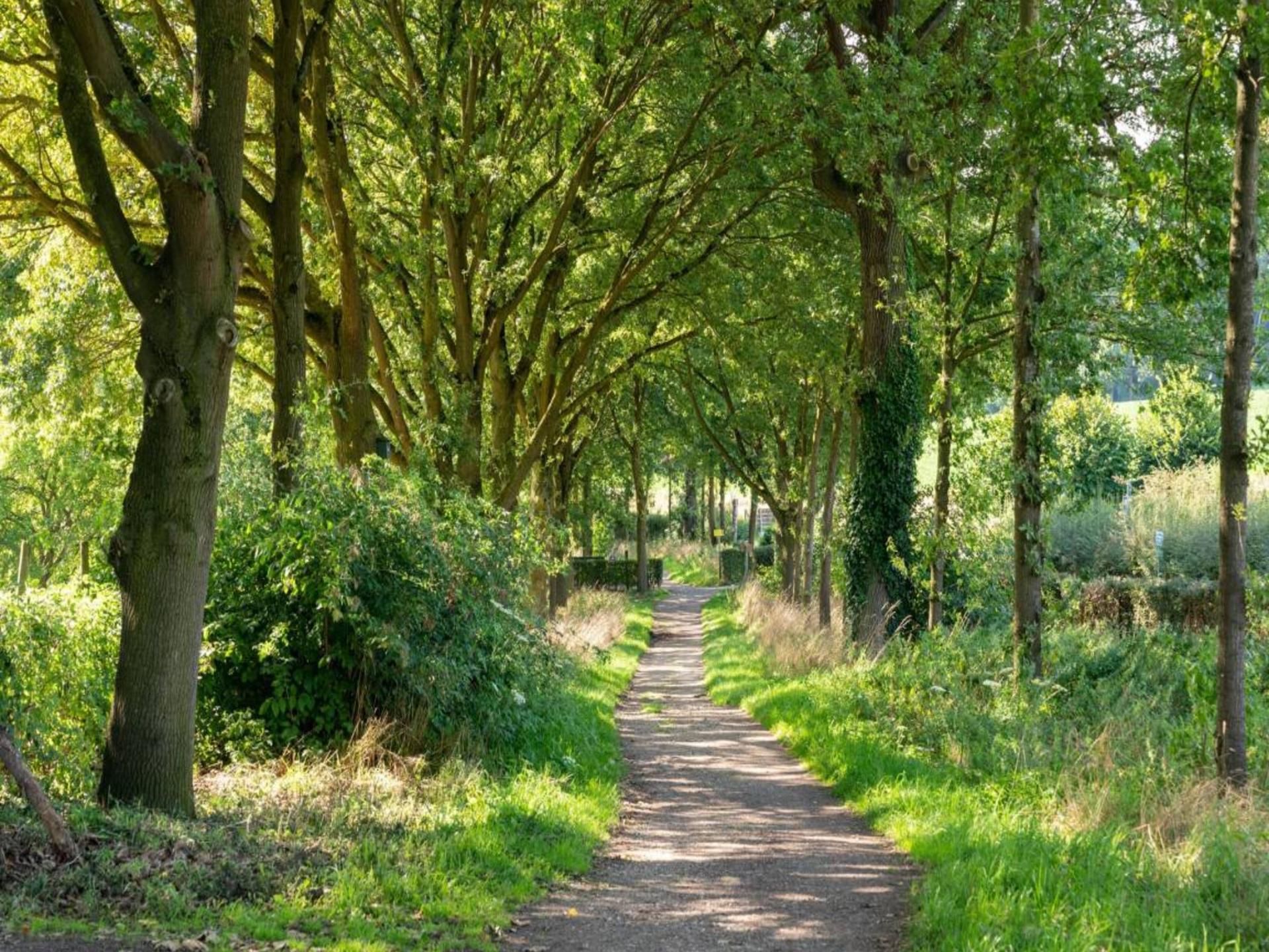 Sfeervol Finse woning met panoramisch uitzicht in Limburgse natuur - foto 46