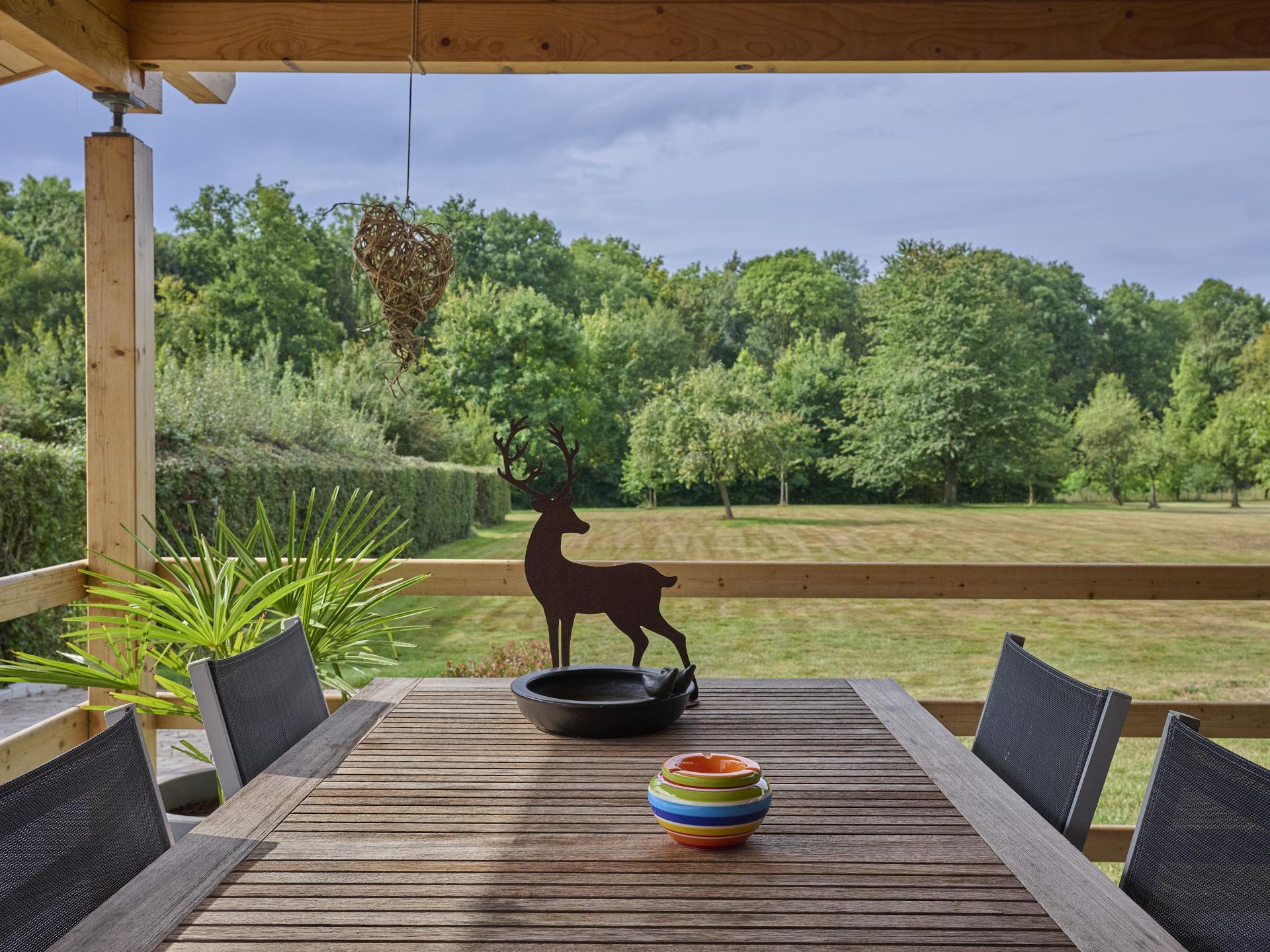 Sfeervol Finse woning met panoramisch uitzicht in Limburgse natuur - foto 13