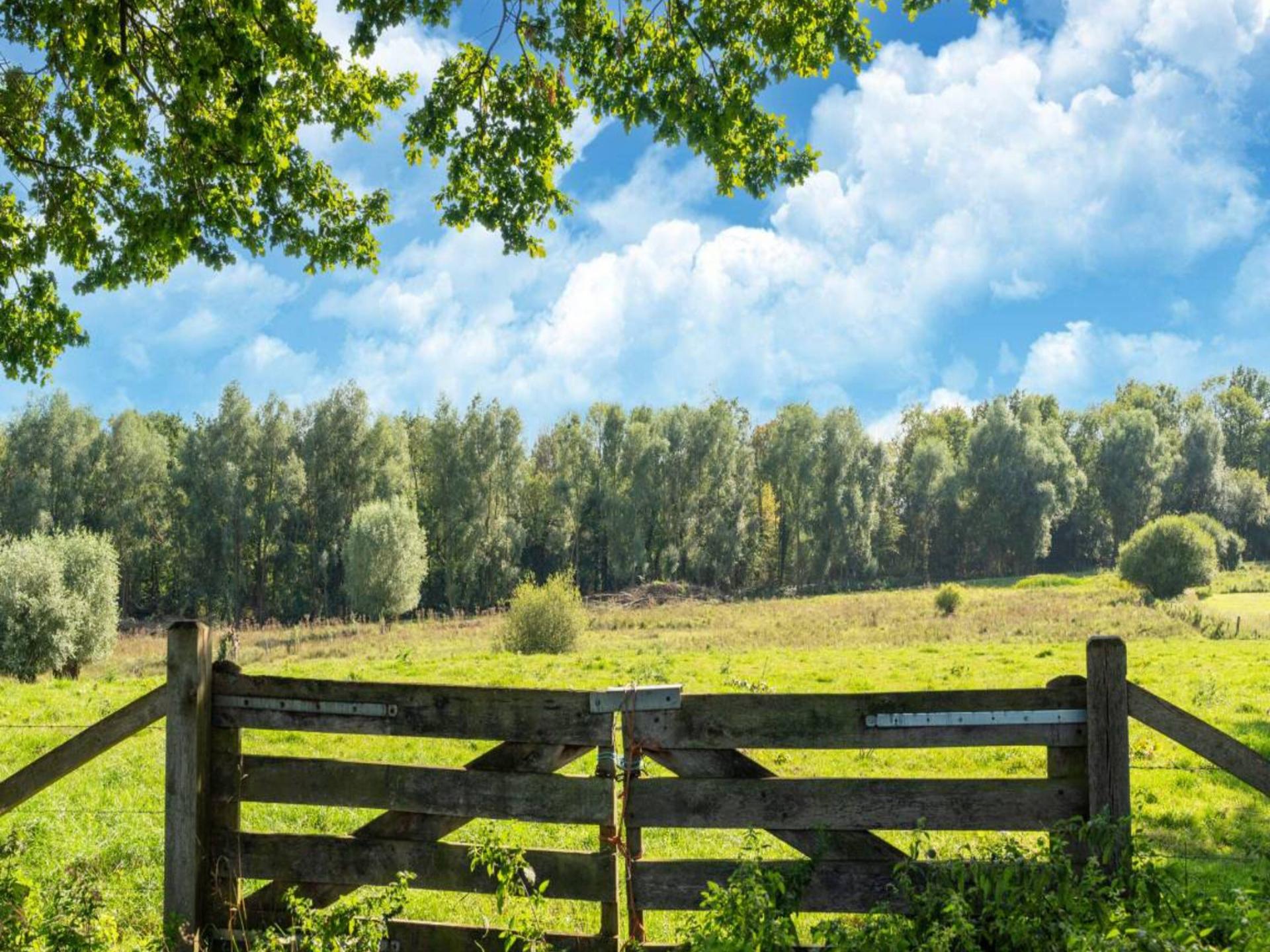 Sfeervol Finse woning met panoramisch uitzicht in Limburgse natuur - foto 42