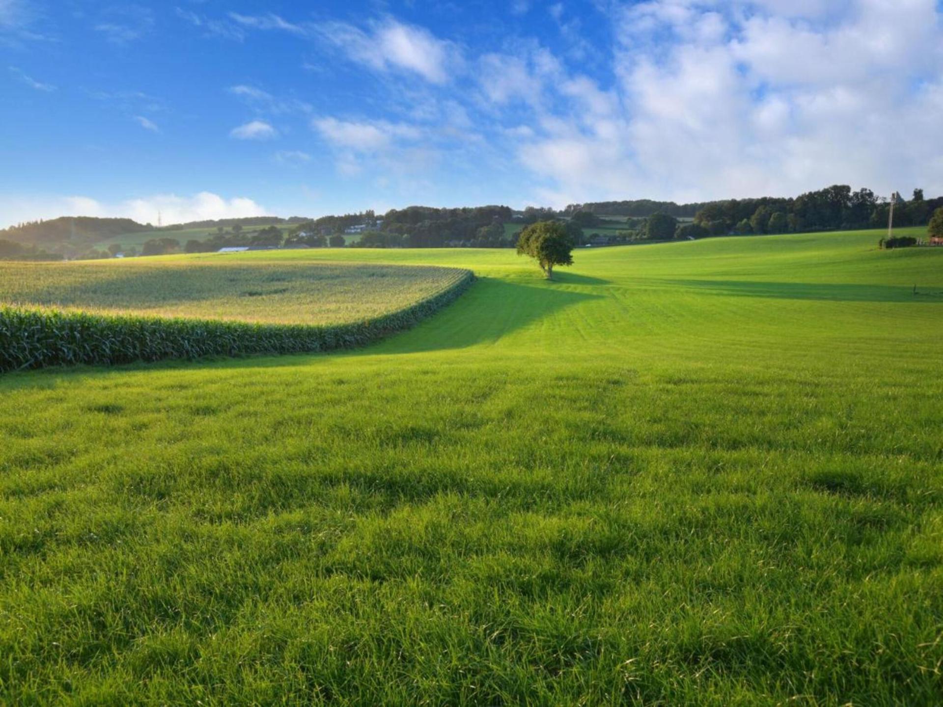 Luxe boerderijappartement met zonnig terras in heuvelachtig Klimmen - foto 46