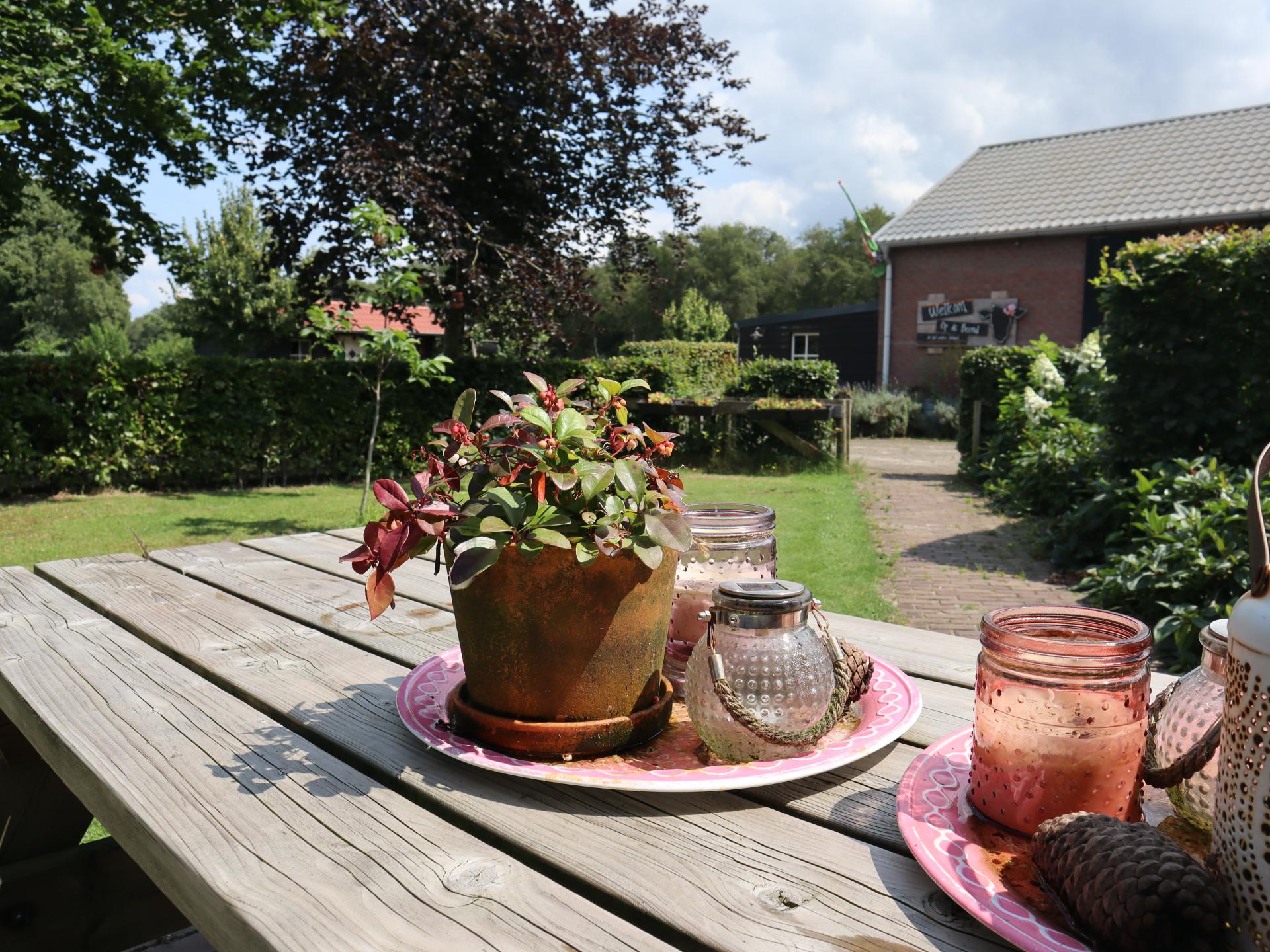 Landelijk vakantiehuis aan bosrand met 2 badkamers en omheinde tuin - foto 39