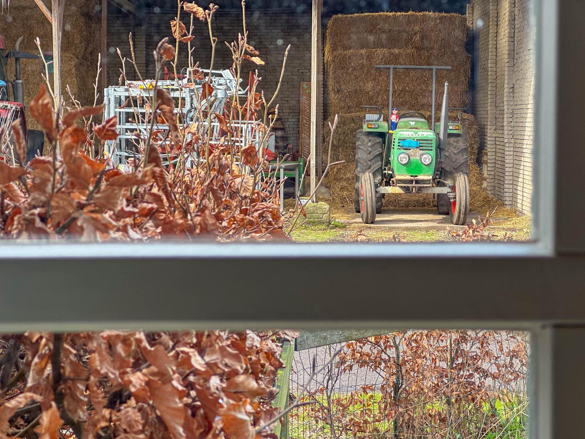 Landelijk vakantiehuis aan bosrand met 2 badkamers en omheinde tuin - foto 44