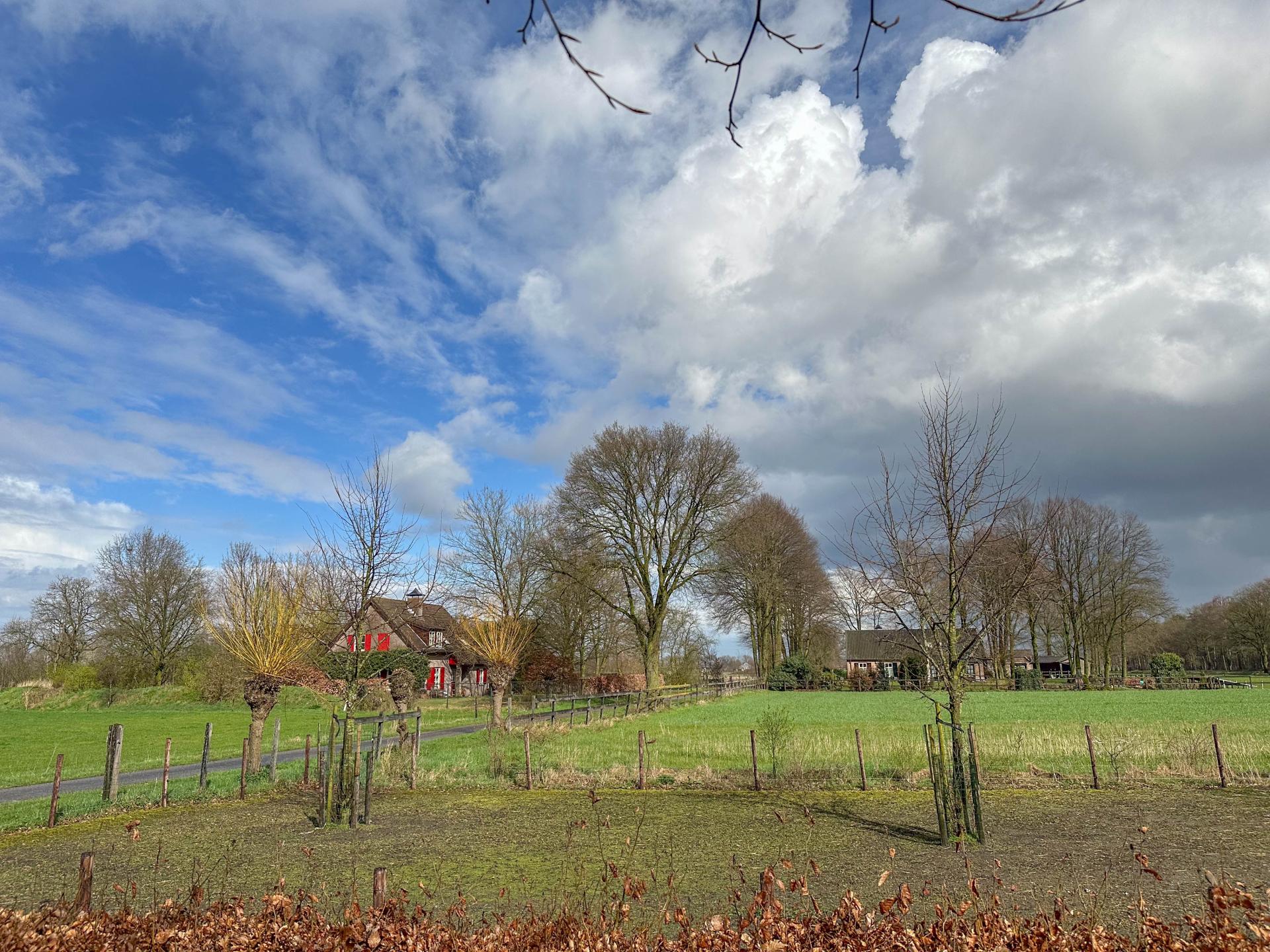 Landelijk vakantiehuis aan bosrand met 2 badkamers en omheinde tuin - foto 46