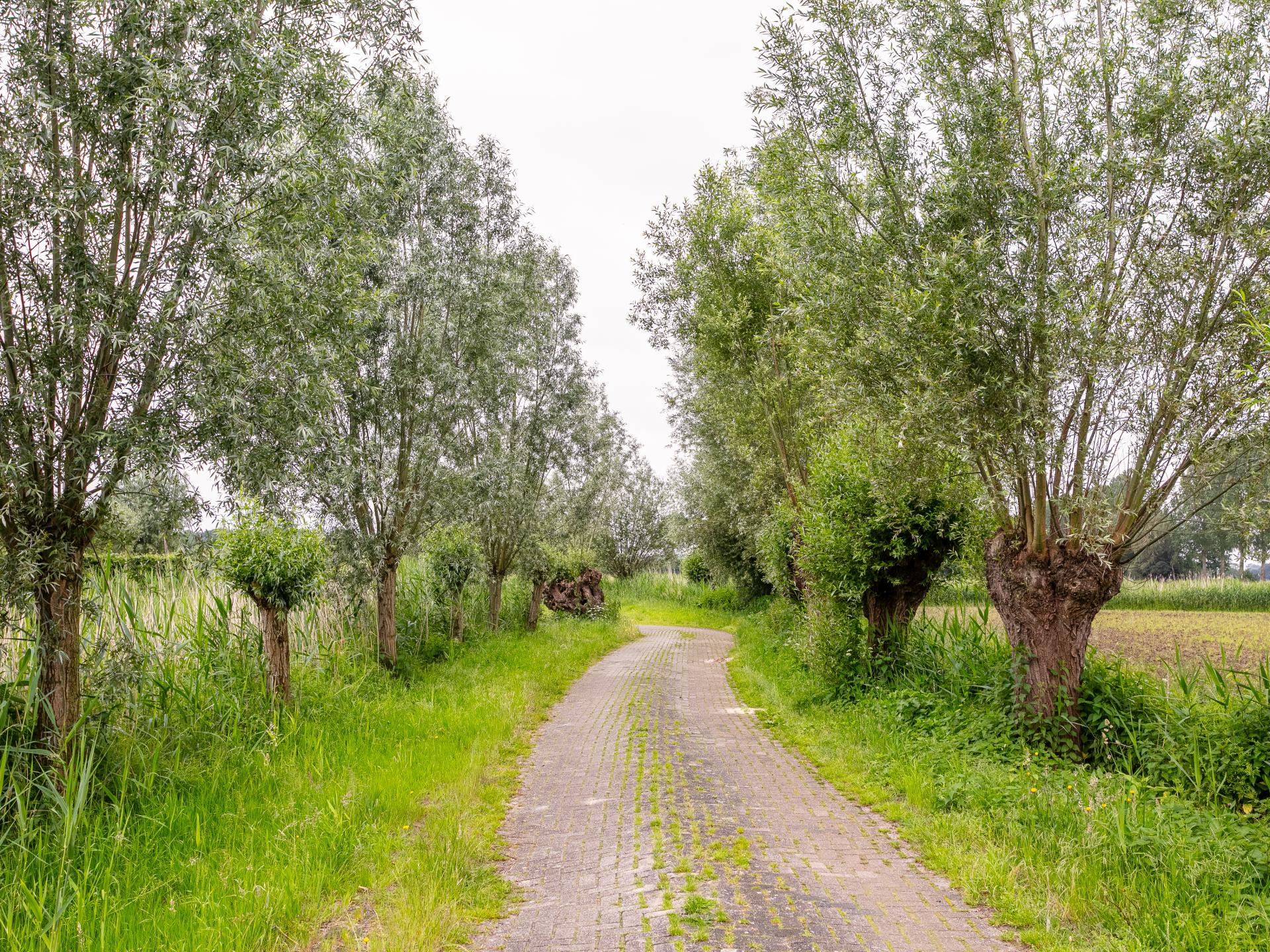 Modern vakantiehuis op het Brabantse platteland bij Heeswijk-Dinther - foto 32