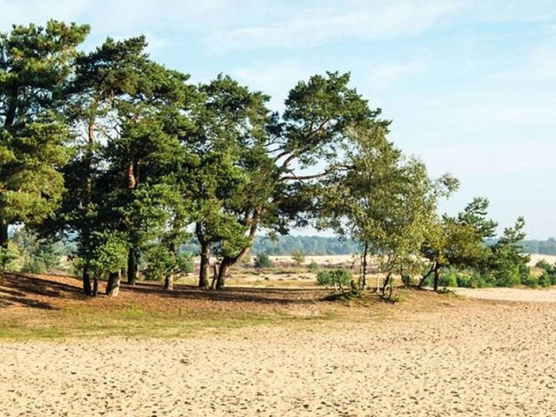 Ruime vakantiewoning met terras bij de duinen, 10 pers., Nieuwkuijk - foto 43