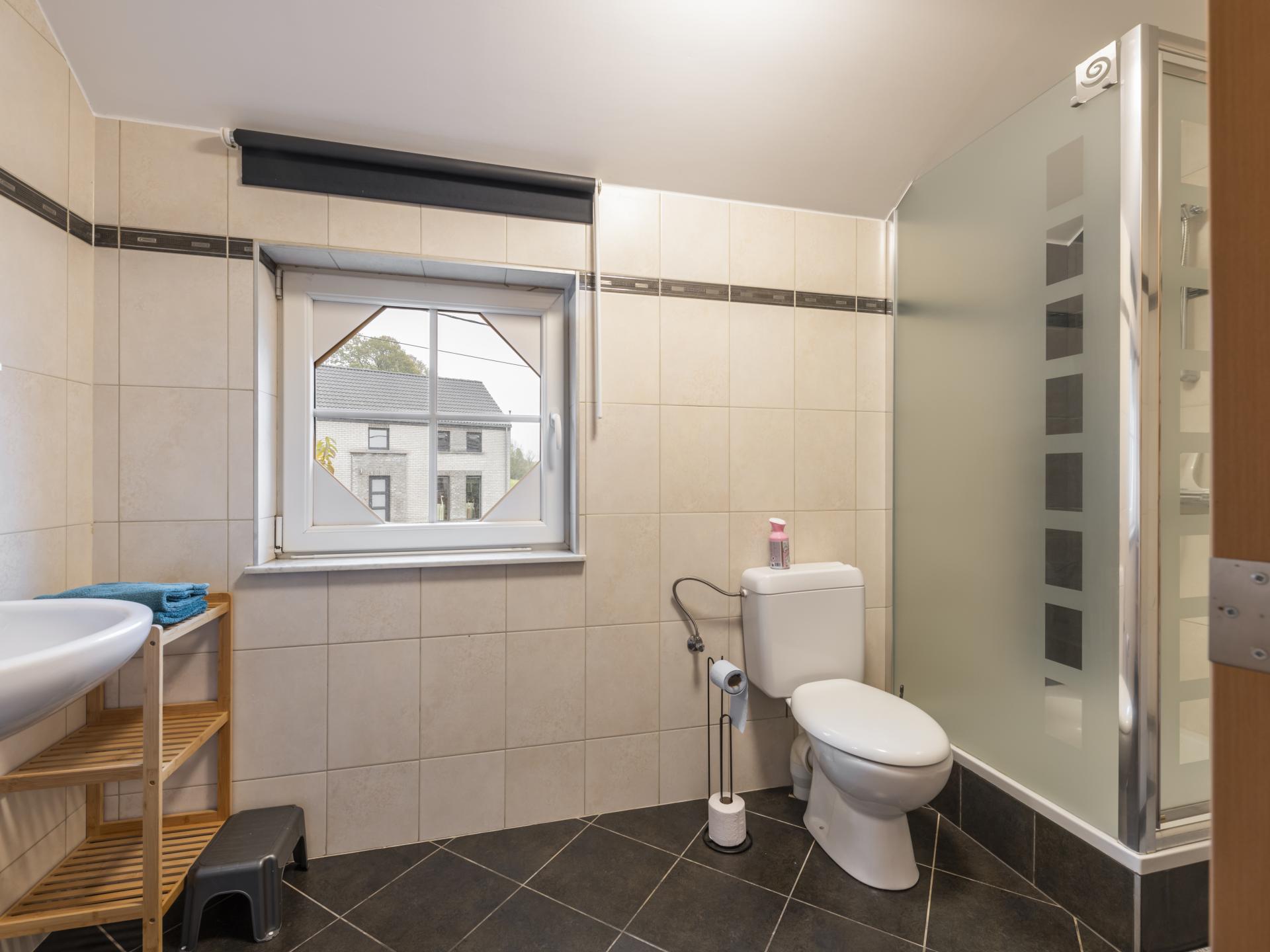 Luxe Ardens vakantiehuis voor 10 personen met sauna en jacuzzi in Marchin - foto 24
