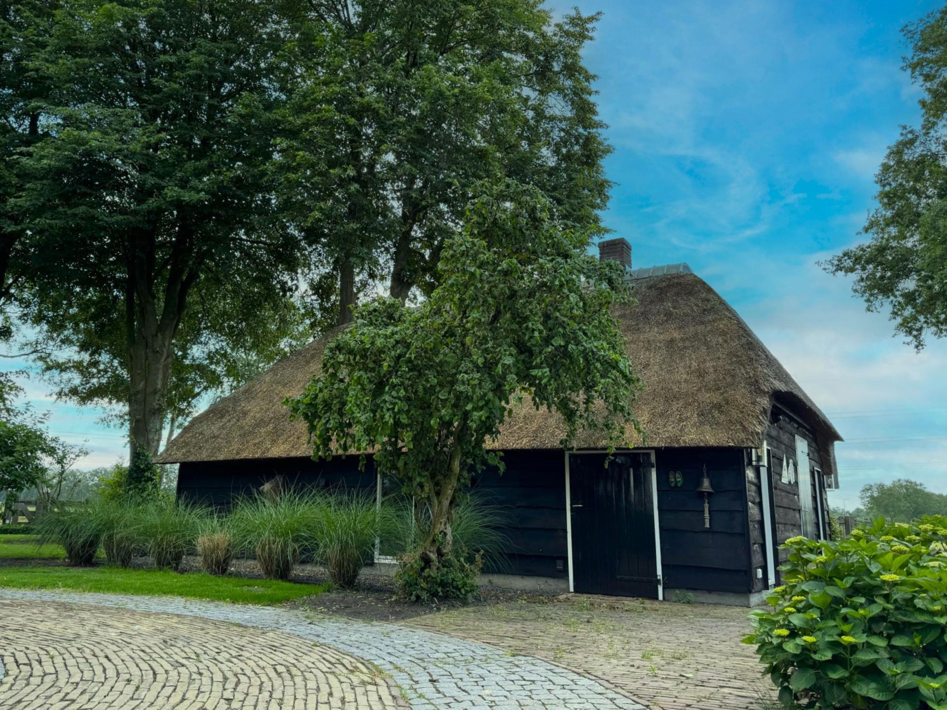 Luxe rietgedekte woning in het Vechtdal met tuin en dierenweide - foto 42