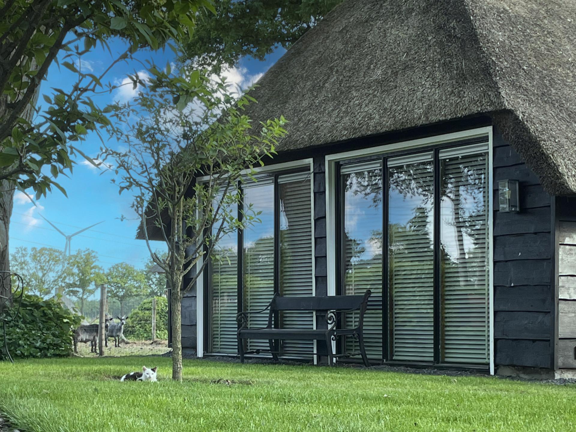 Luxe rietgedekte woning in het Vechtdal met tuin en dierenweide - foto 2