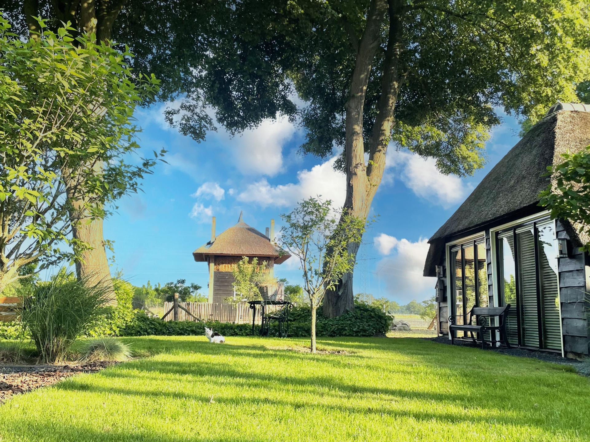 Luxe rietgedekte woning in het Vechtdal met tuin en dierenweide - foto 14