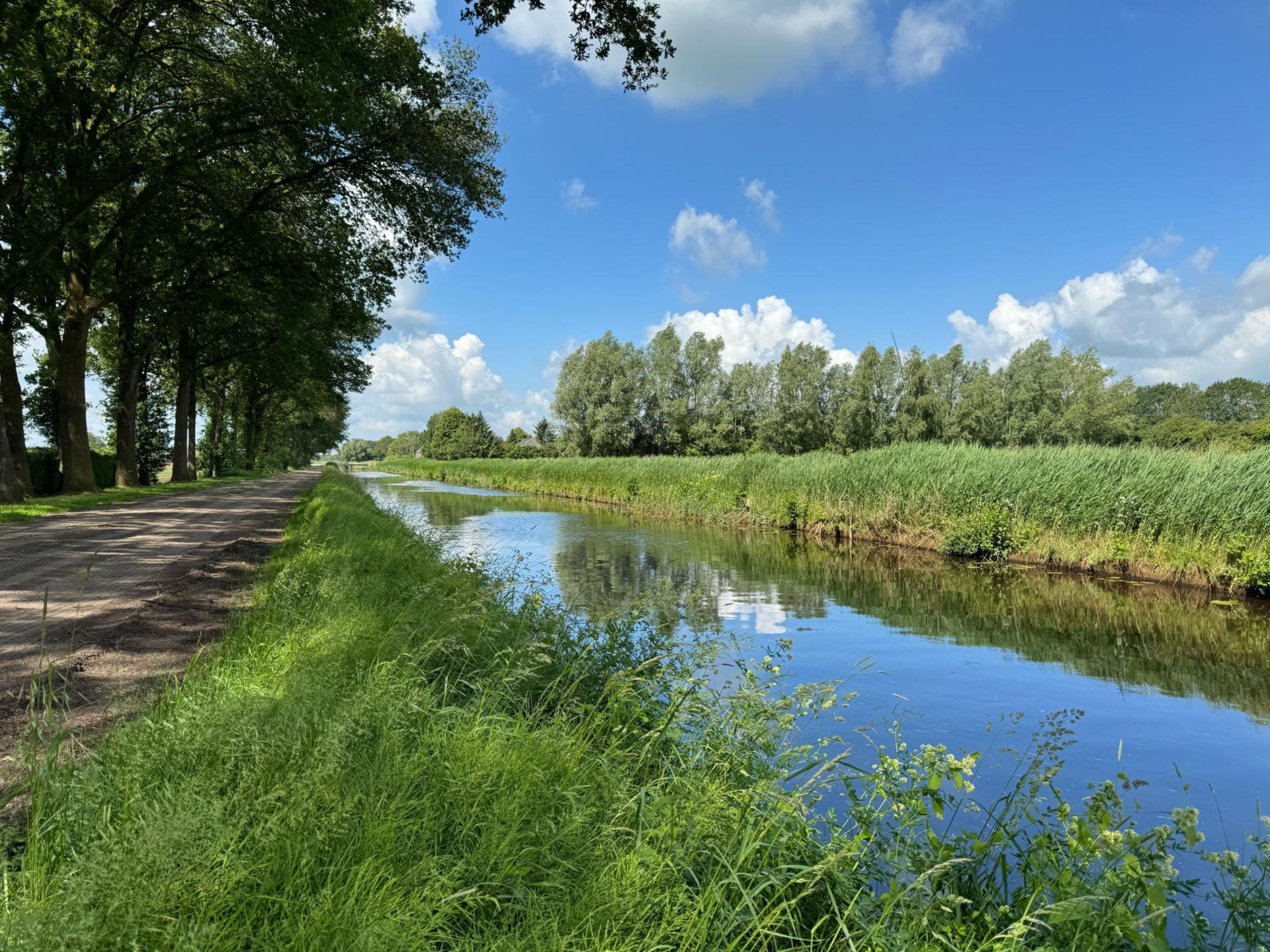 Luxe rietgedekte woning in het Vechtdal met tuin en dierenweide - foto 41