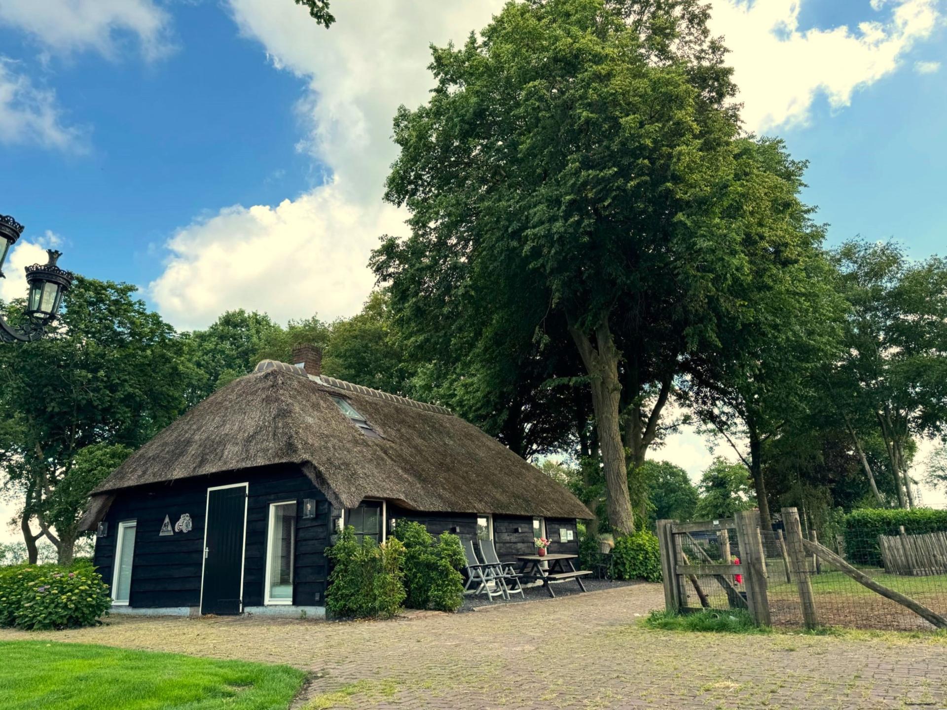Luxe rietgedekte woning in het Vechtdal met tuin en dierenweide - foto 44