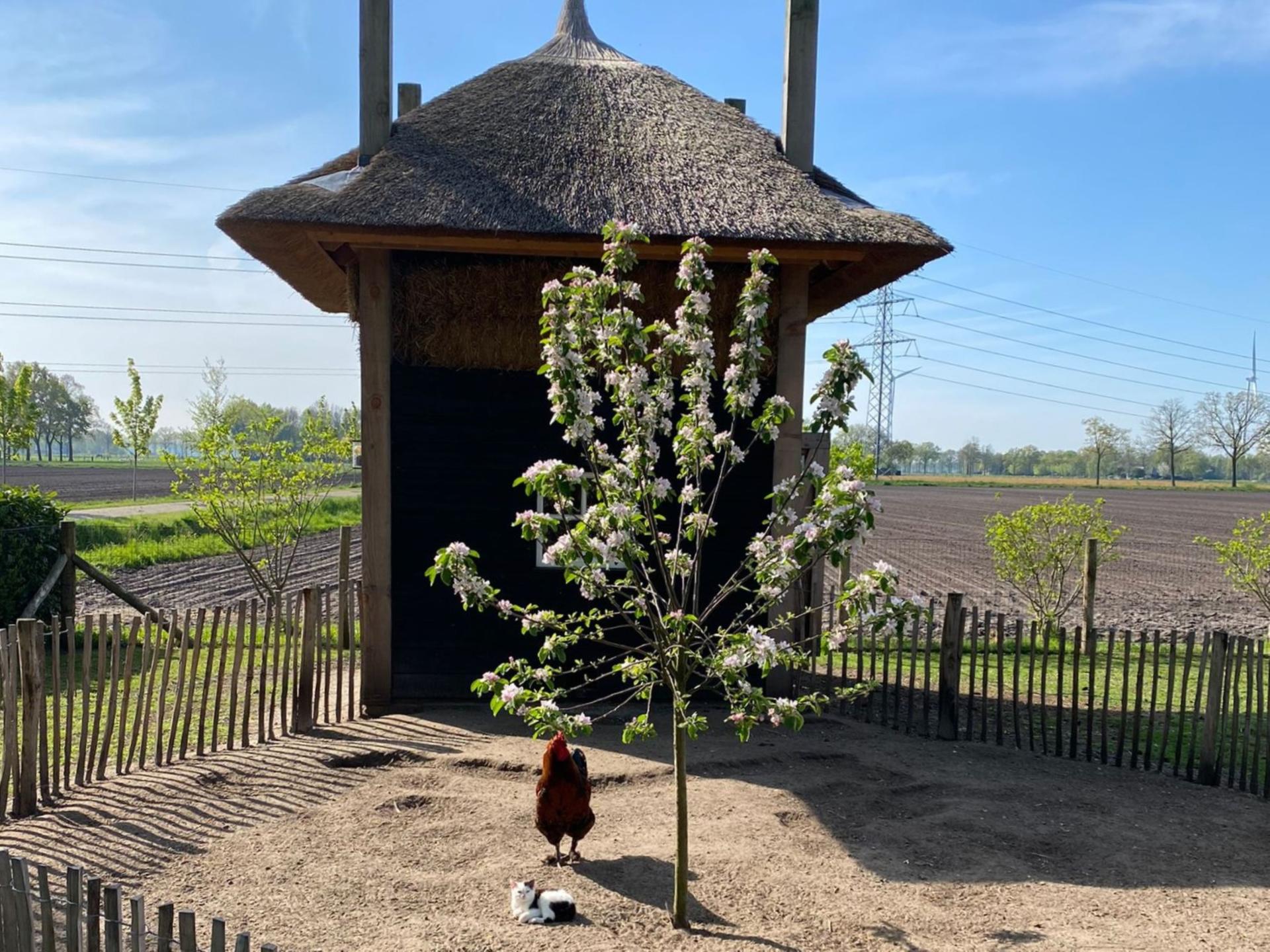 Luxe rietgedekte woning in het Vechtdal met tuin en dierenweide - foto 38