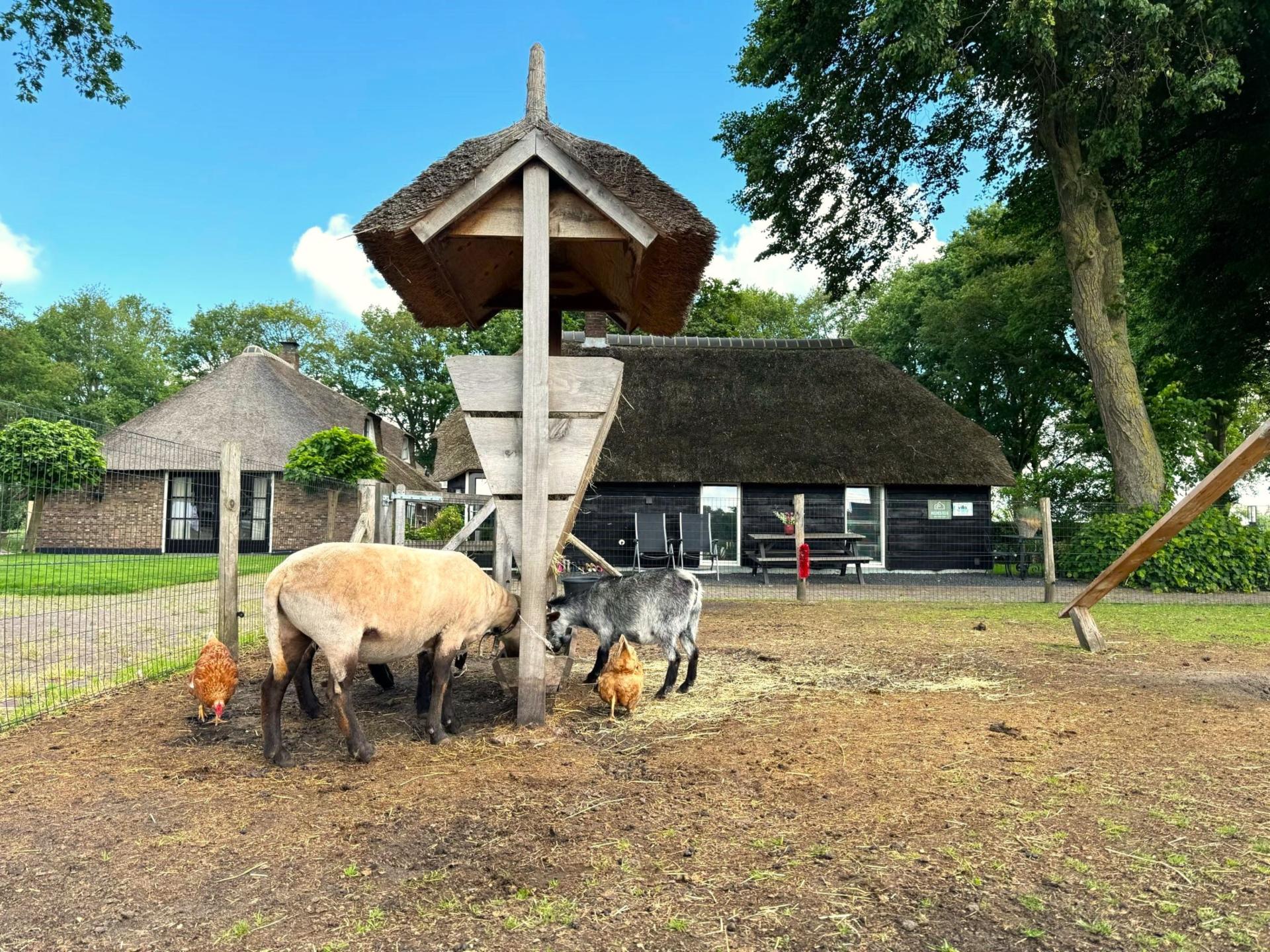 Luxe rietgedekte woning in het Vechtdal met tuin en dierenweide - foto 36