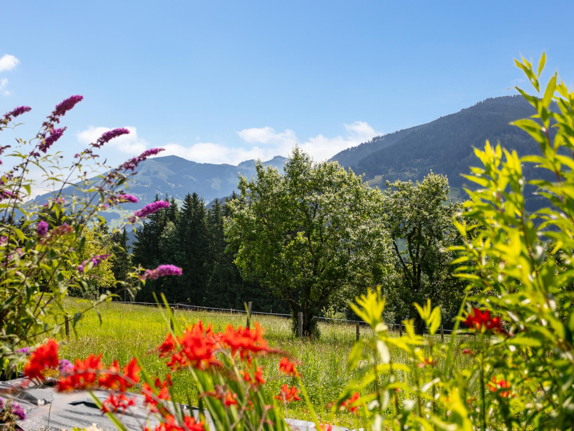 Vrijstaand vakantiehuis met stoombad en tuin in Hopfgarten, Tirol - foto 41