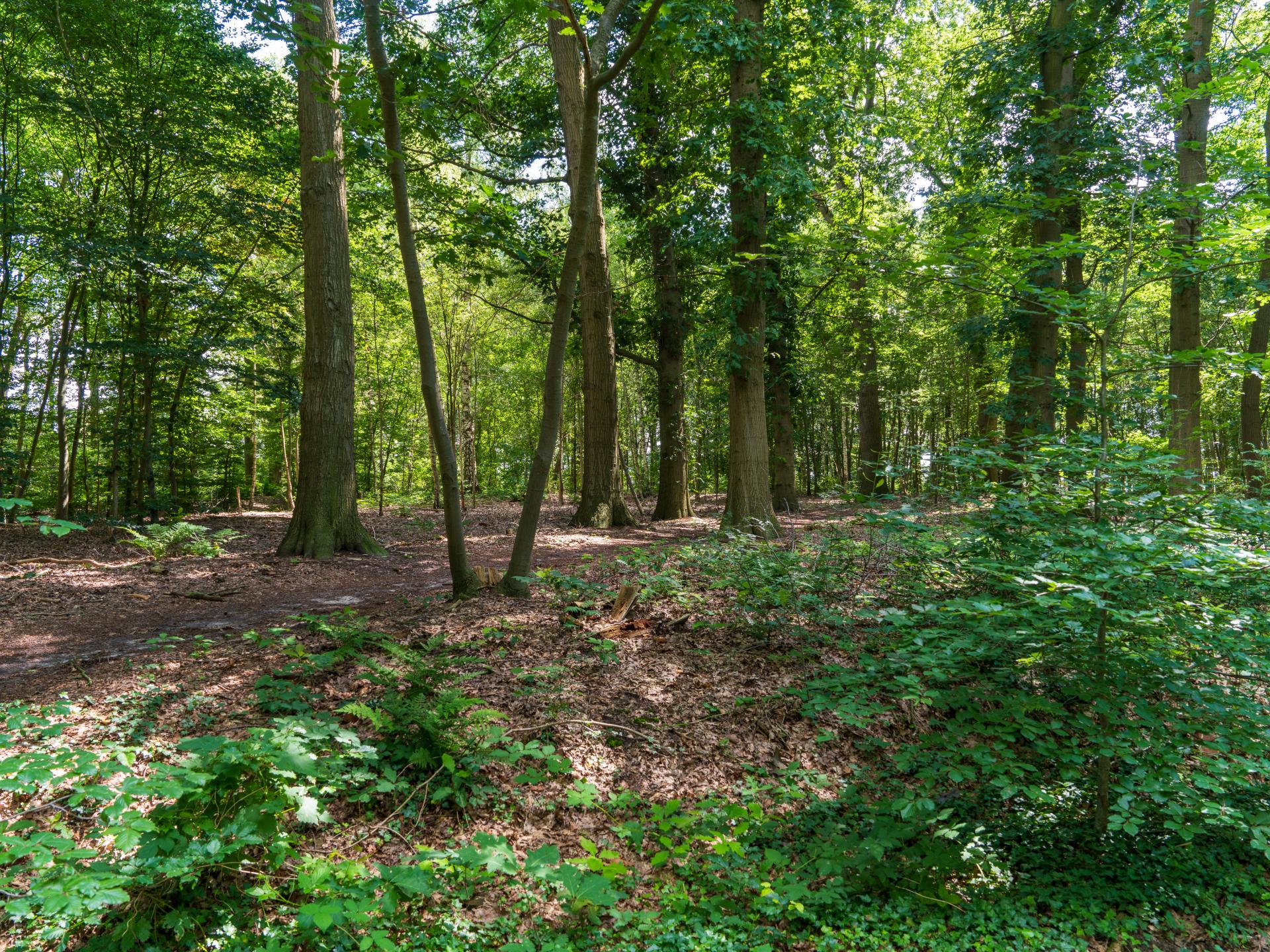 Weidezicht: Nieuw vakantiehuis met grote tuin in hartje Hellendoorn - foto 21