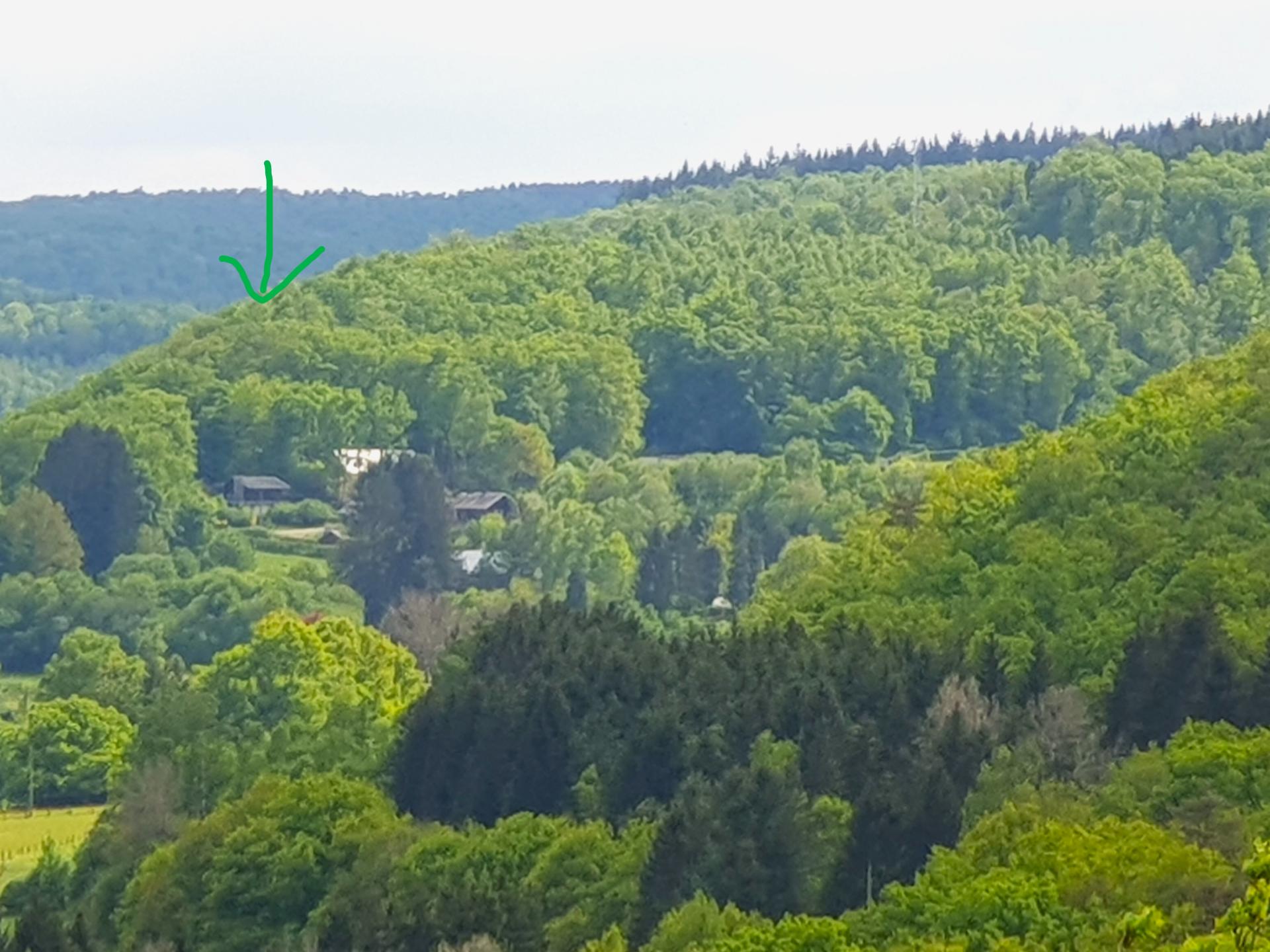 8-persoons vrijstaand chalet in het centrum van Laforêt - foto 46
