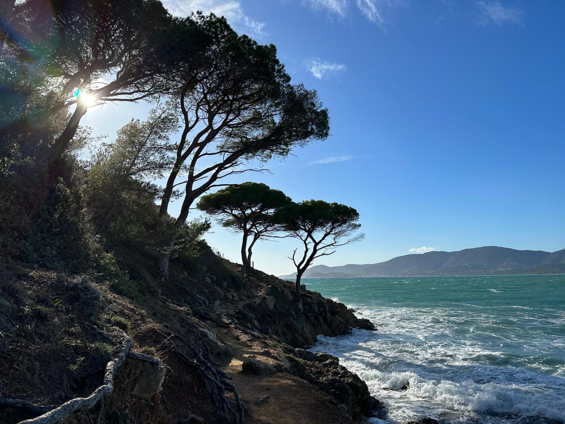 Villa met panoramisch uitzicht, privézwembad en strand op 2 km in Cavalaire-sur-Mer - foto 40
