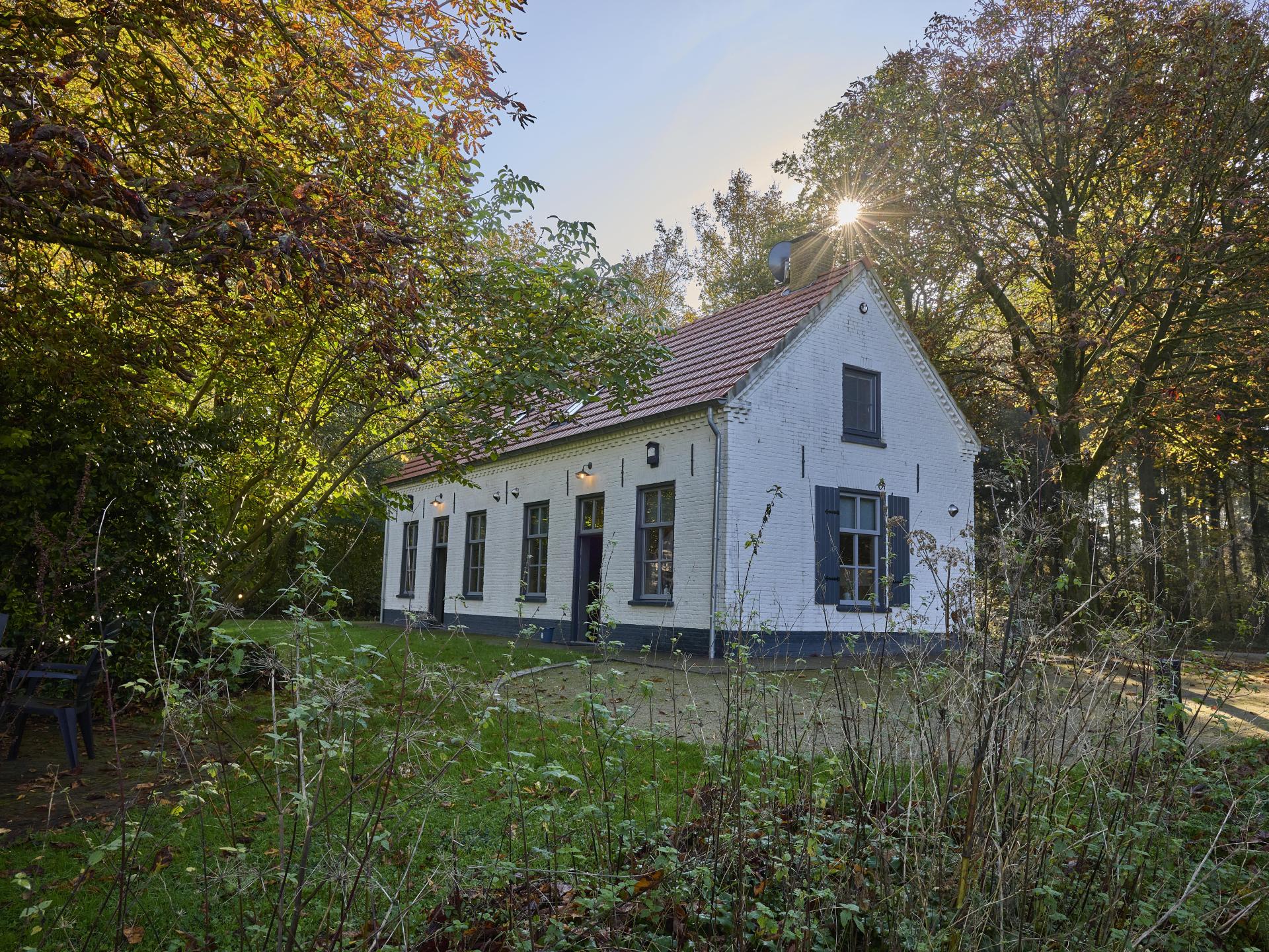 Knus vakantiehuis in bosrijke omgeving bij Erp, Brabant - foto 20