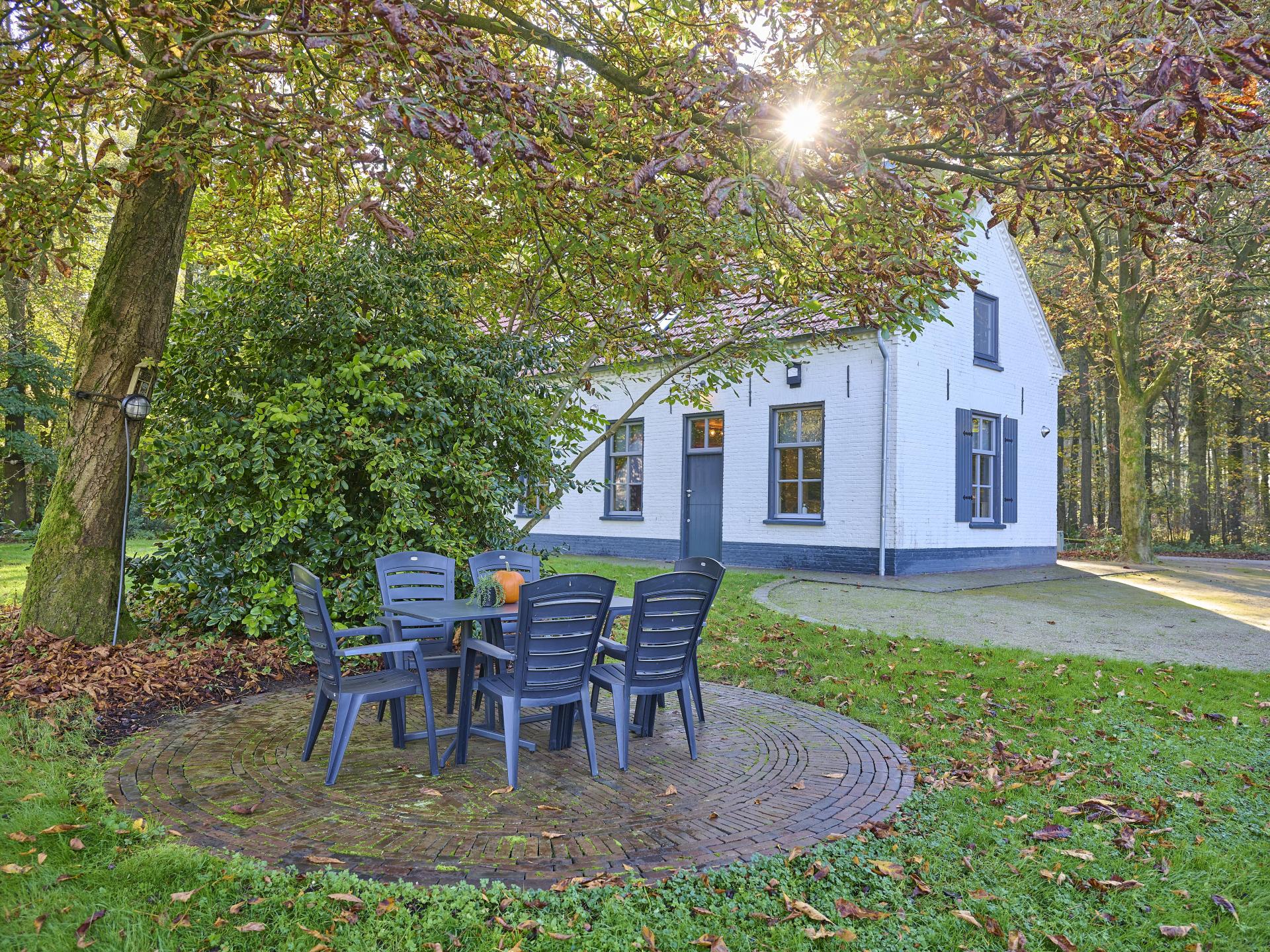 Knus vakantiehuis in bosrijke omgeving bij Erp, Brabant - foto 6
