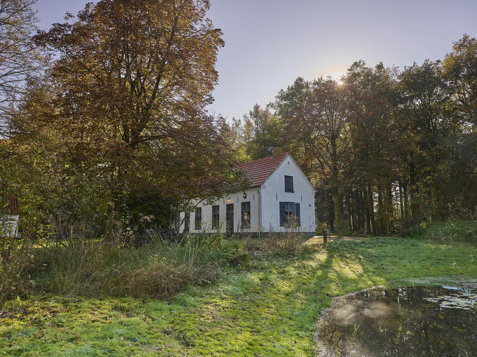 Knus vakantiehuis in bosrijke omgeving bij Erp, Brabant - foto 34