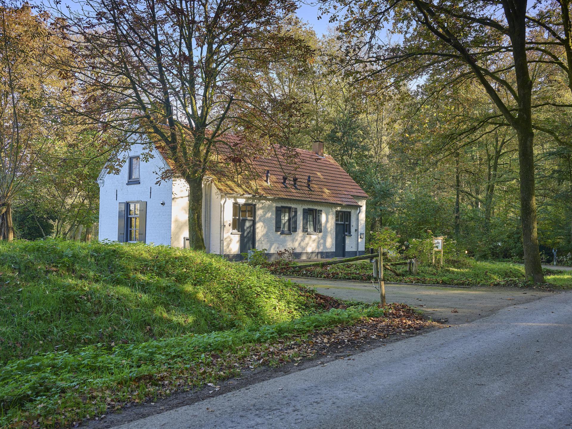 Knus vakantiehuis in bosrijke omgeving bij Erp, Brabant - foto 15